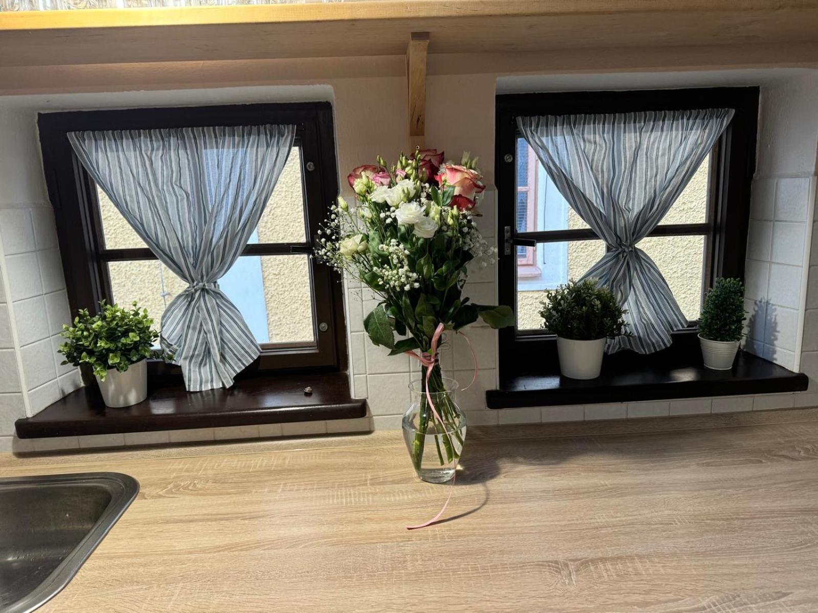 Apartmán u Zámku Jindřichův Hradec