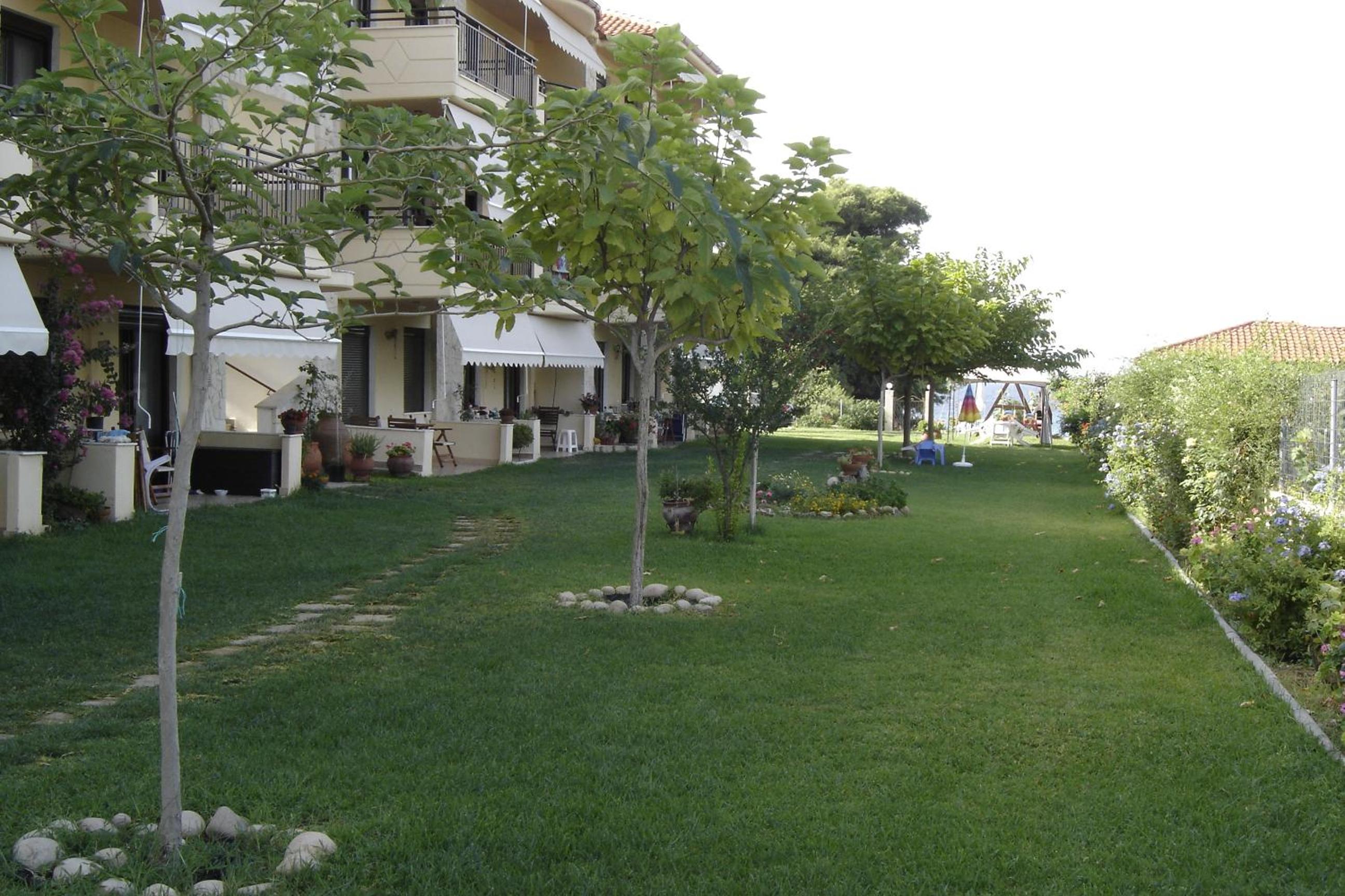 Photo 11