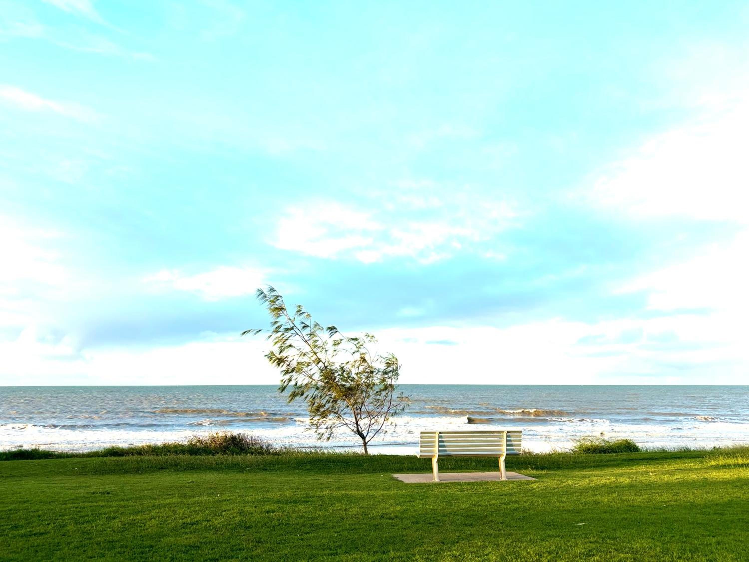 Moore Park Beach Gardens-walk to the beach
