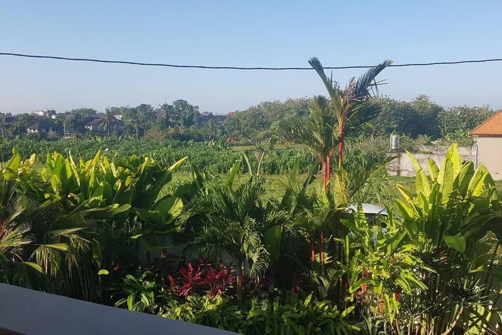 4 Bedroom Villa in Canggu