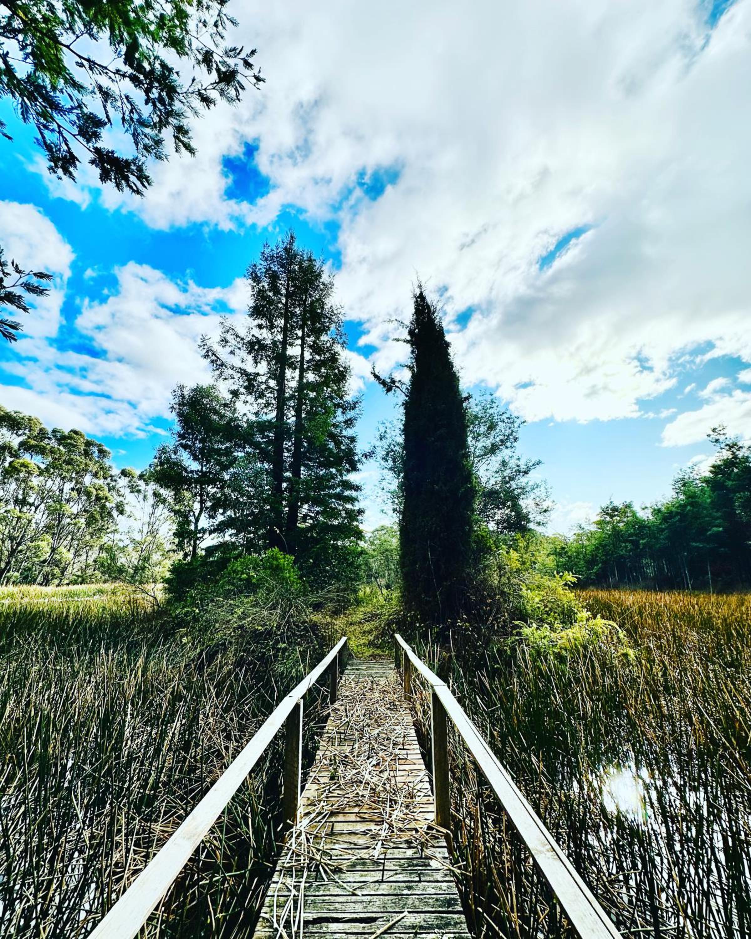 Quamby Bluff Lake House, Deloraine, Tasmania