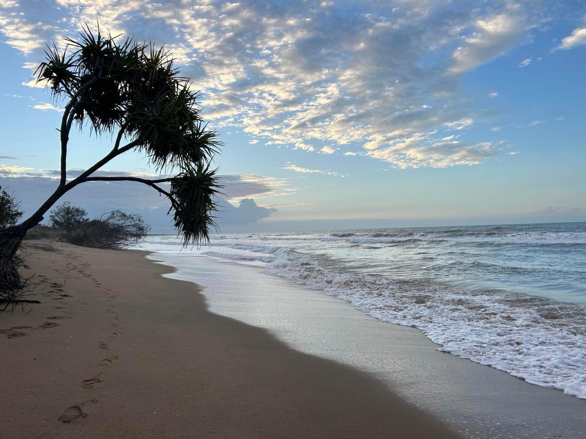Moore Park Beach Gardens-walk to the beach