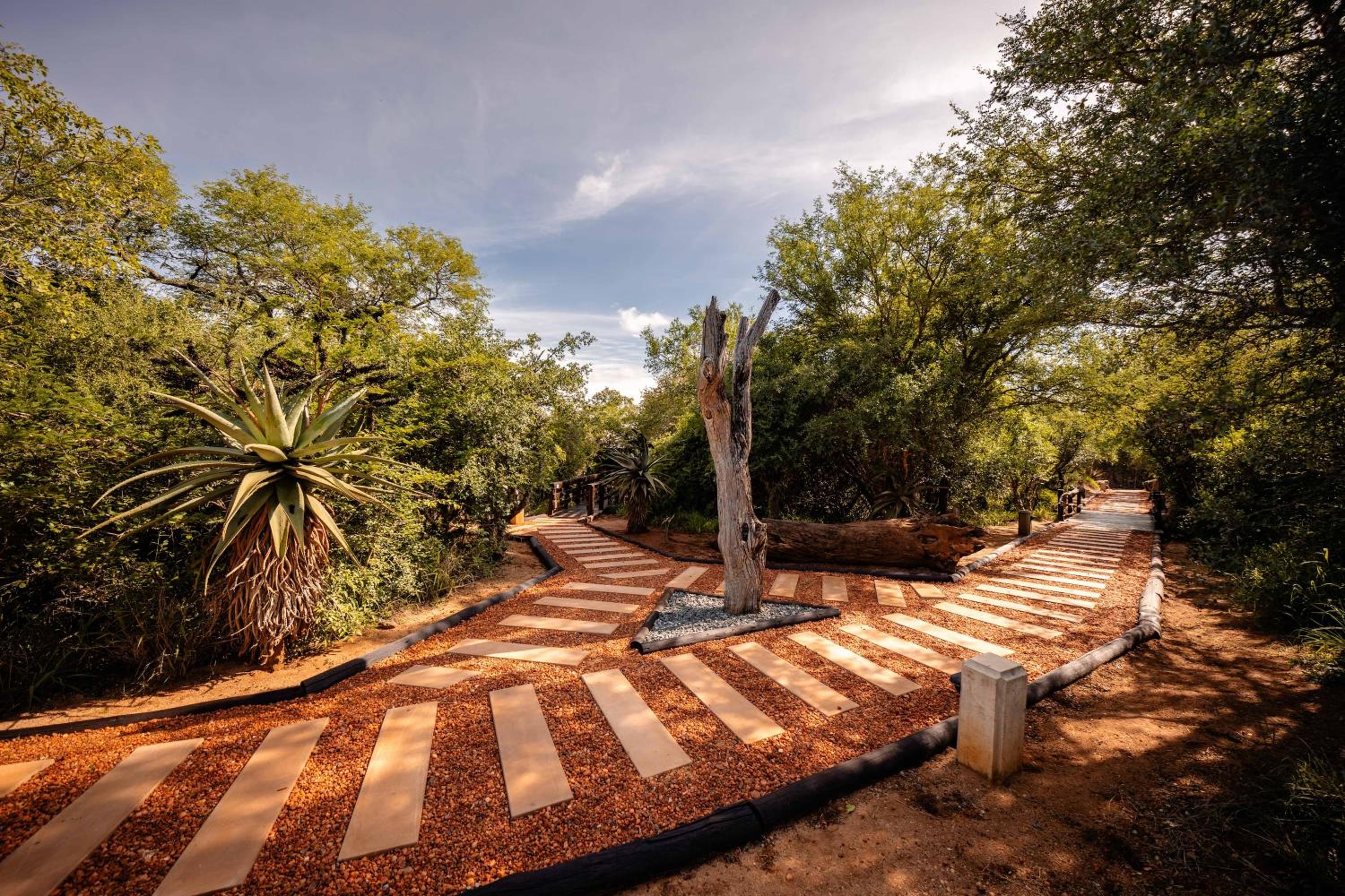 Kapama Buffalo Camp