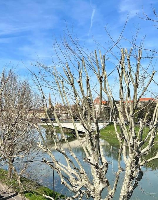 Kiki house Lungarno photo 4