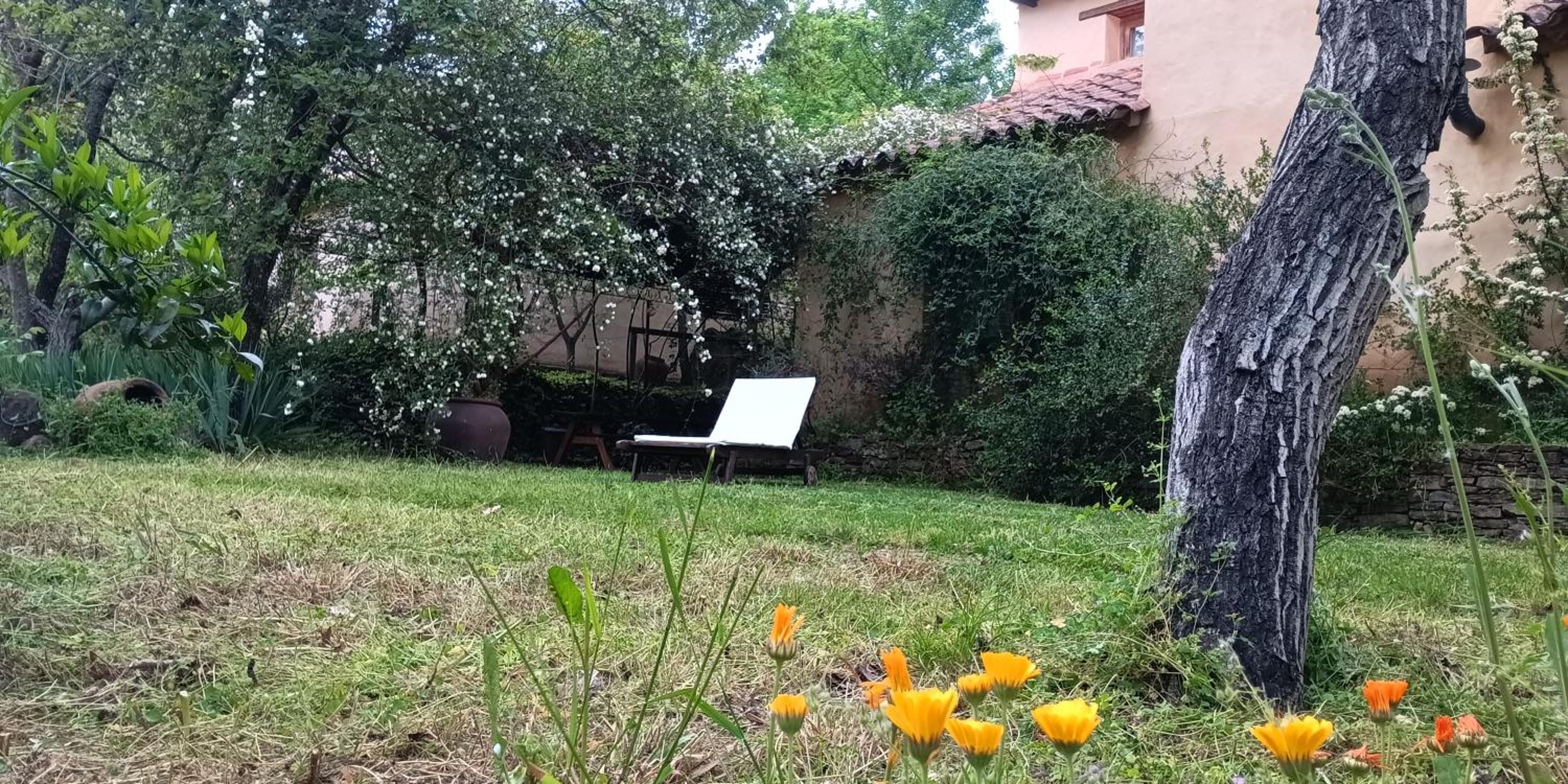 Photo 43