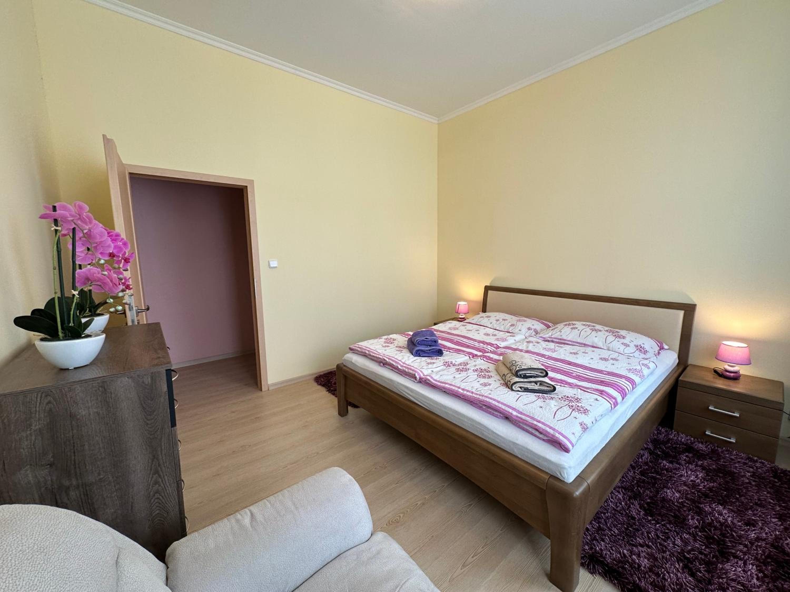 Apartment Zeyerova4
