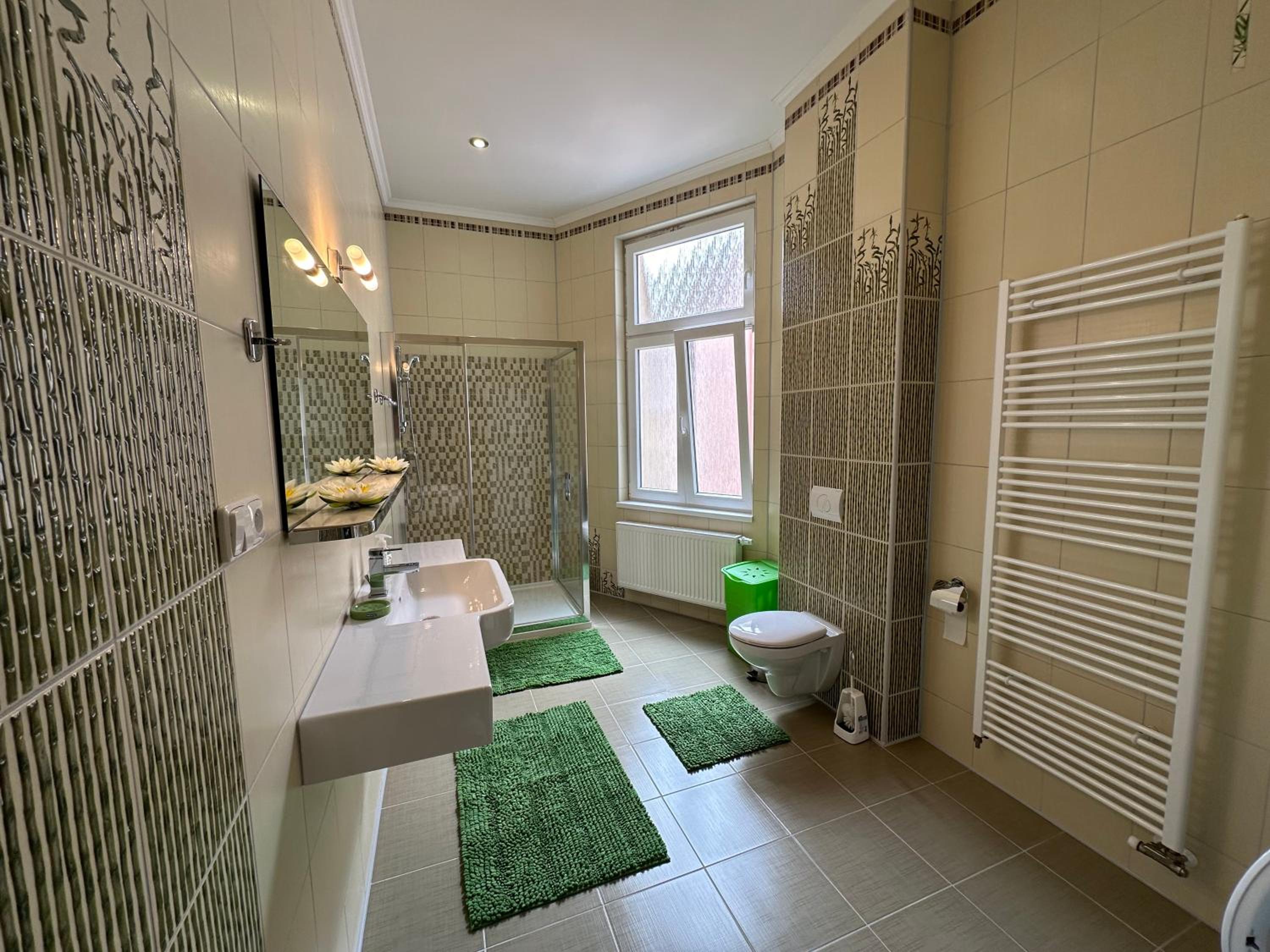 Apartment Zeyerova4