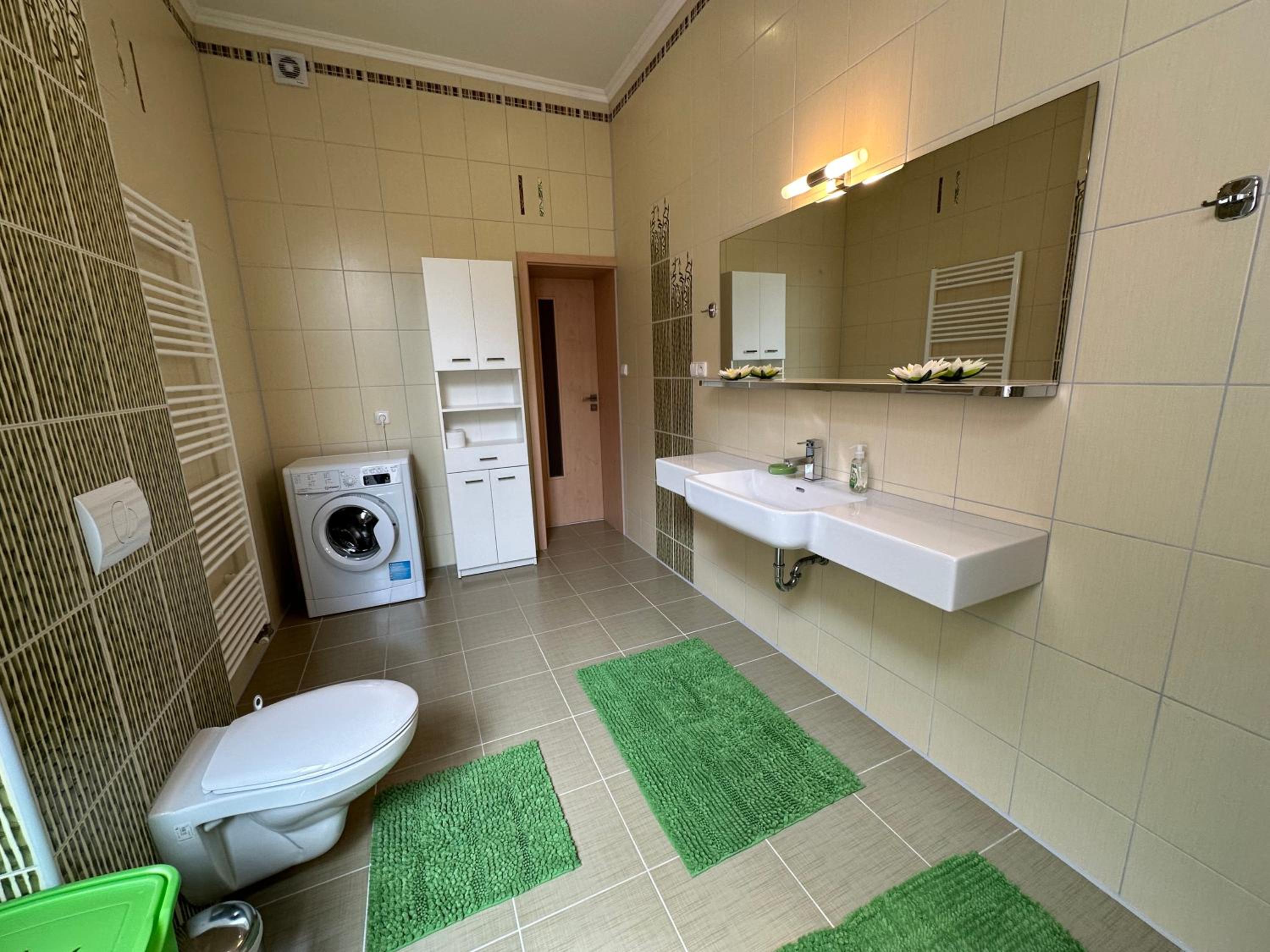 Apartment Zeyerova4