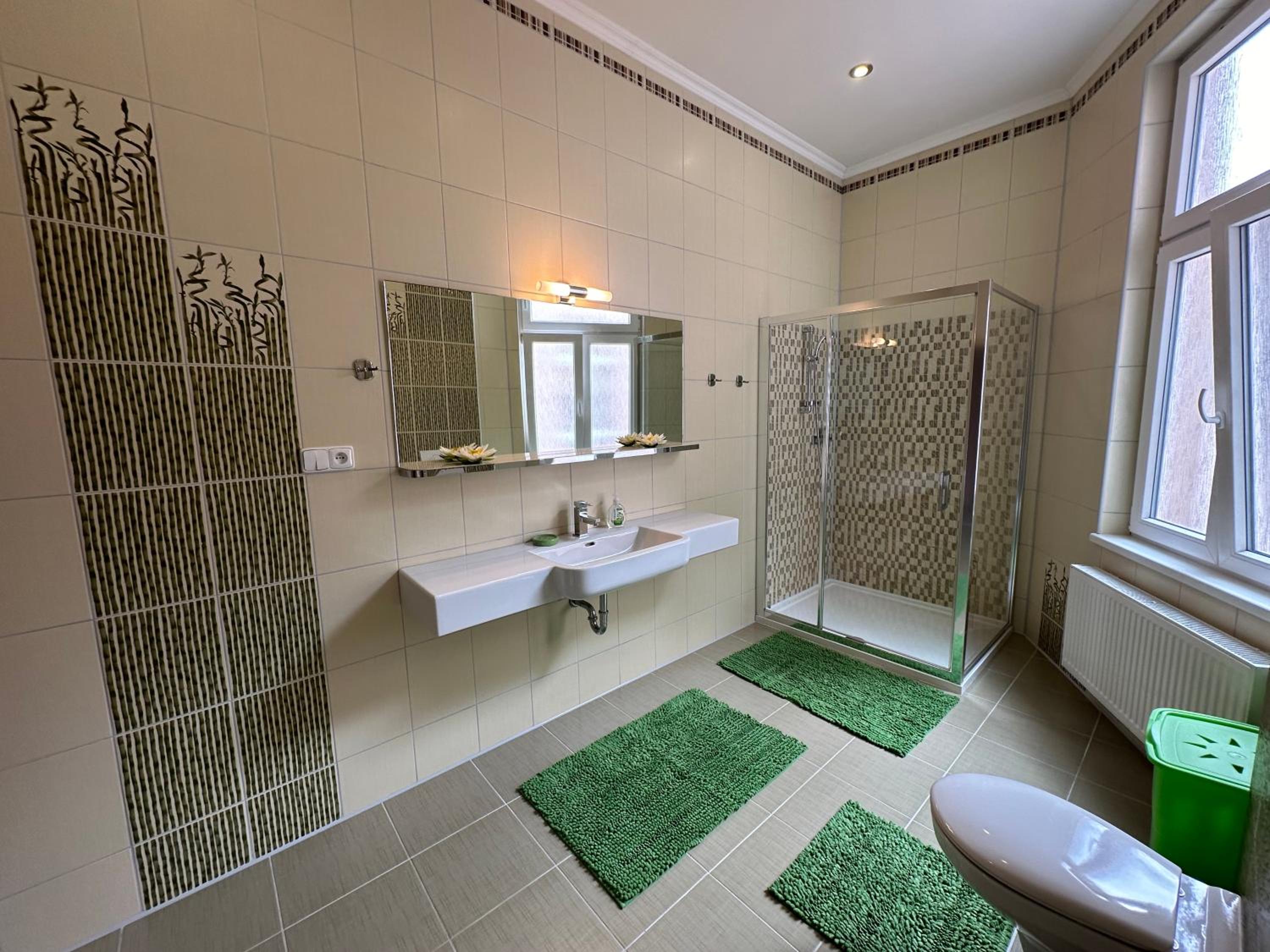 Apartment Zeyerova4