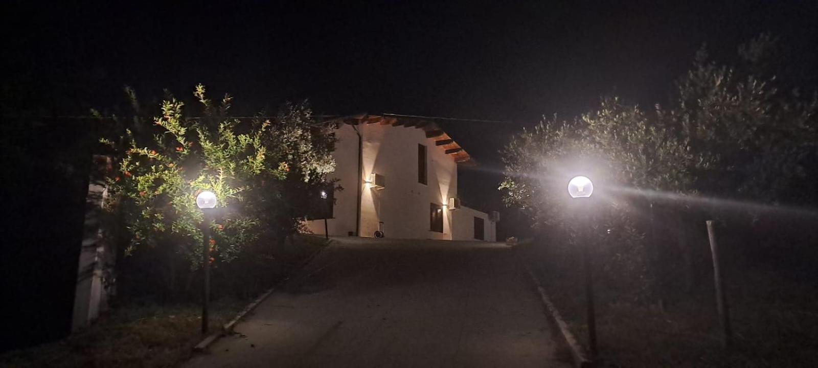 Photo 47