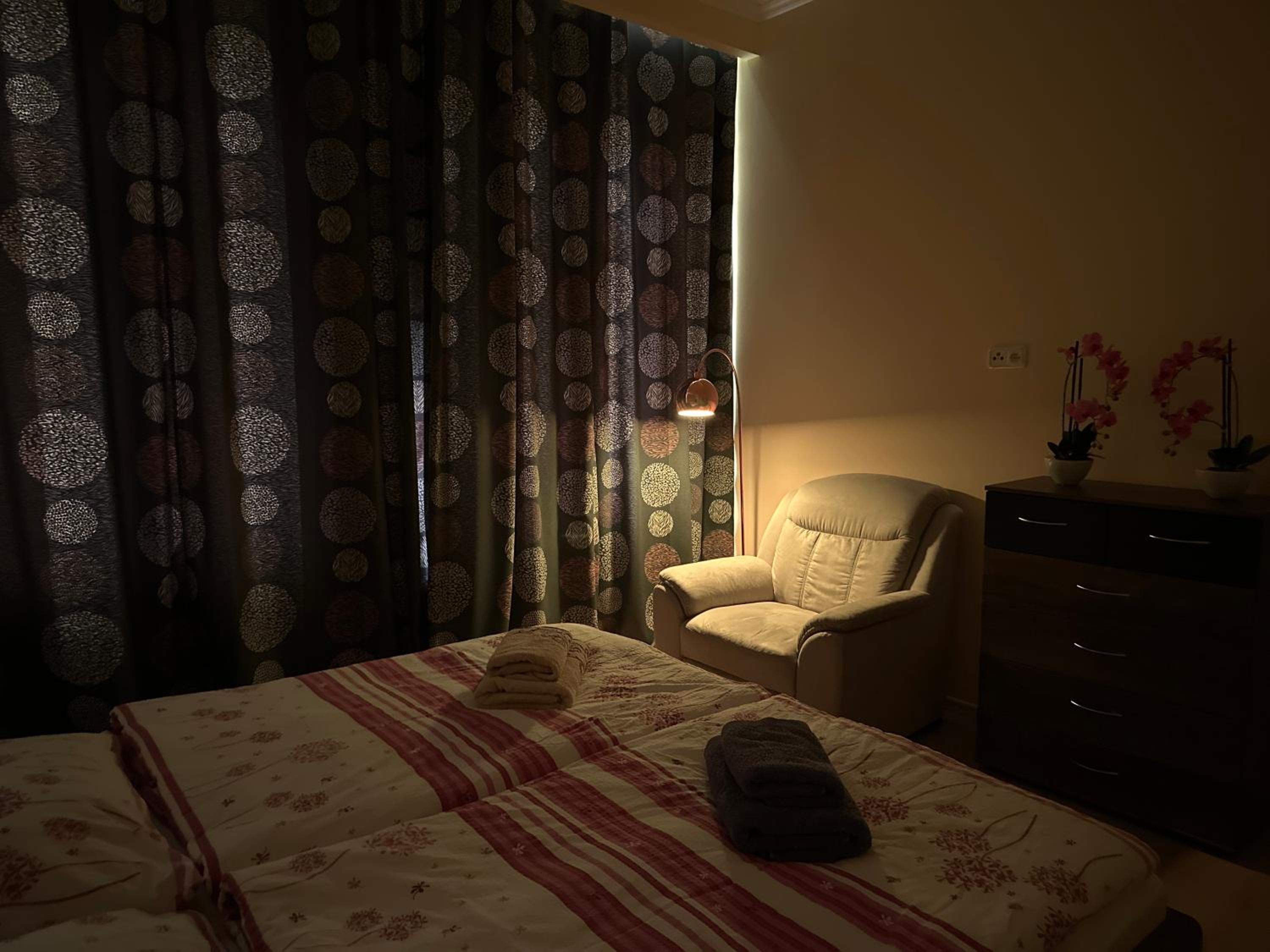 Apartment Zeyerova4
