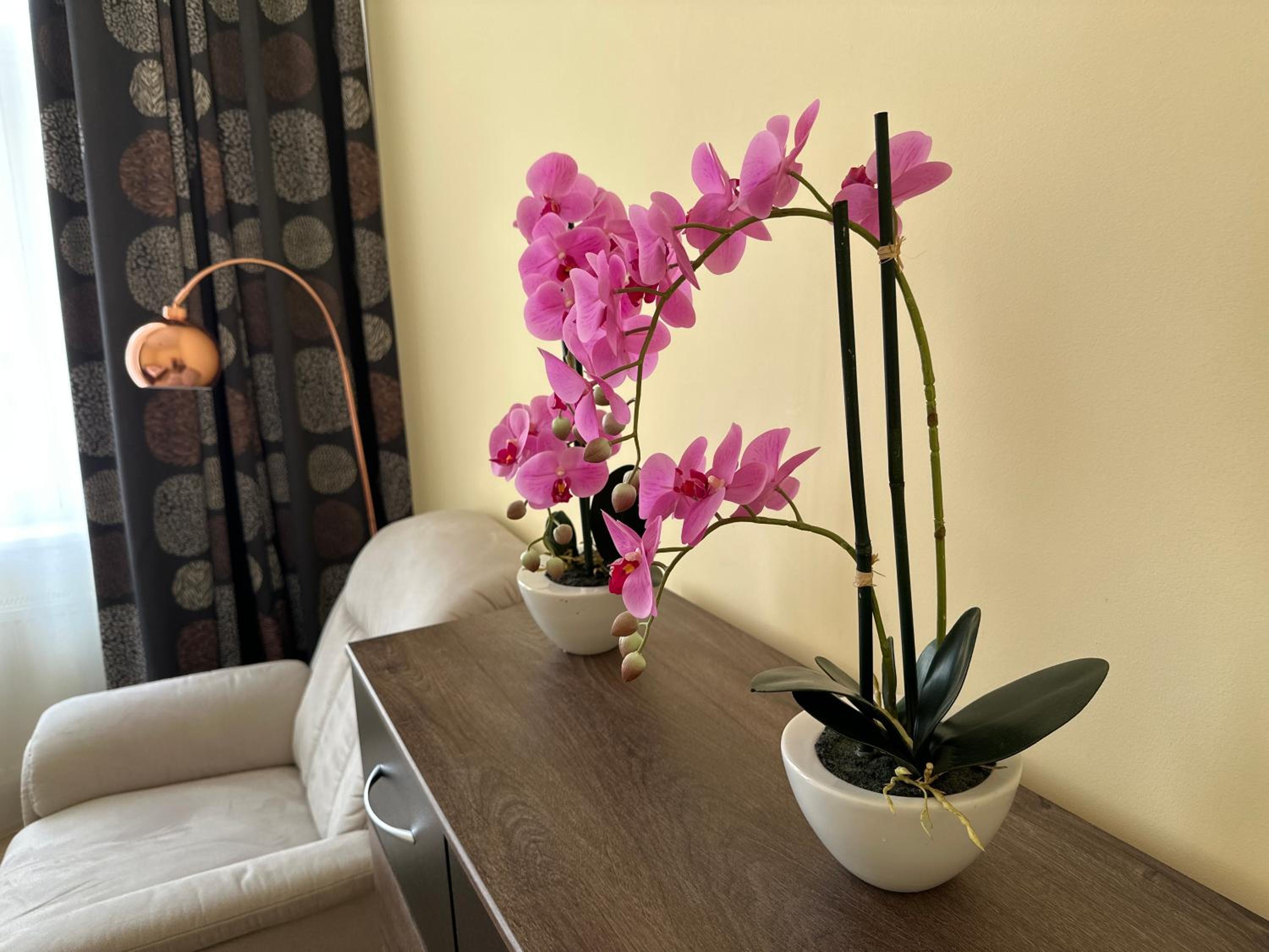 Apartment Zeyerova4