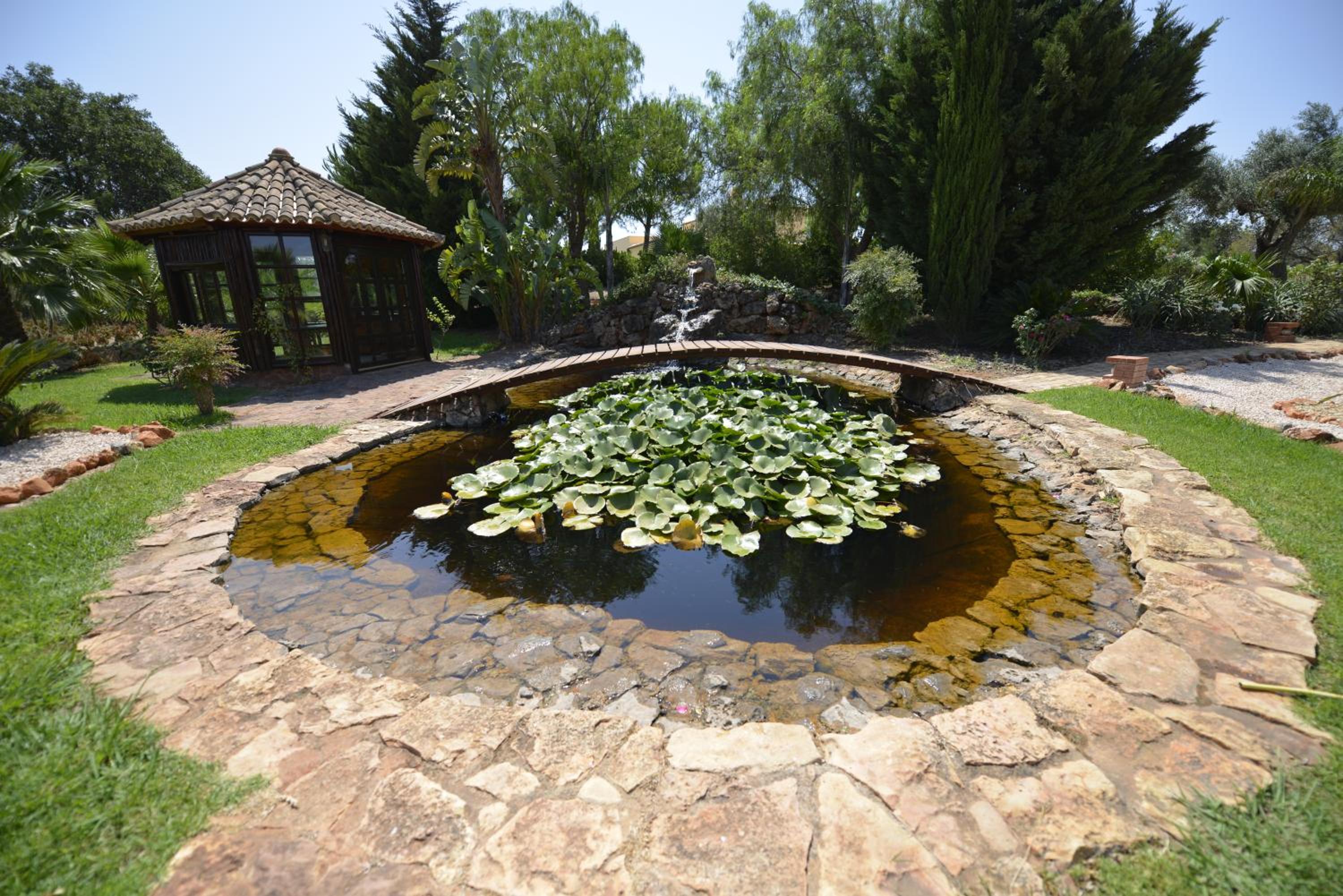 Photo 24
