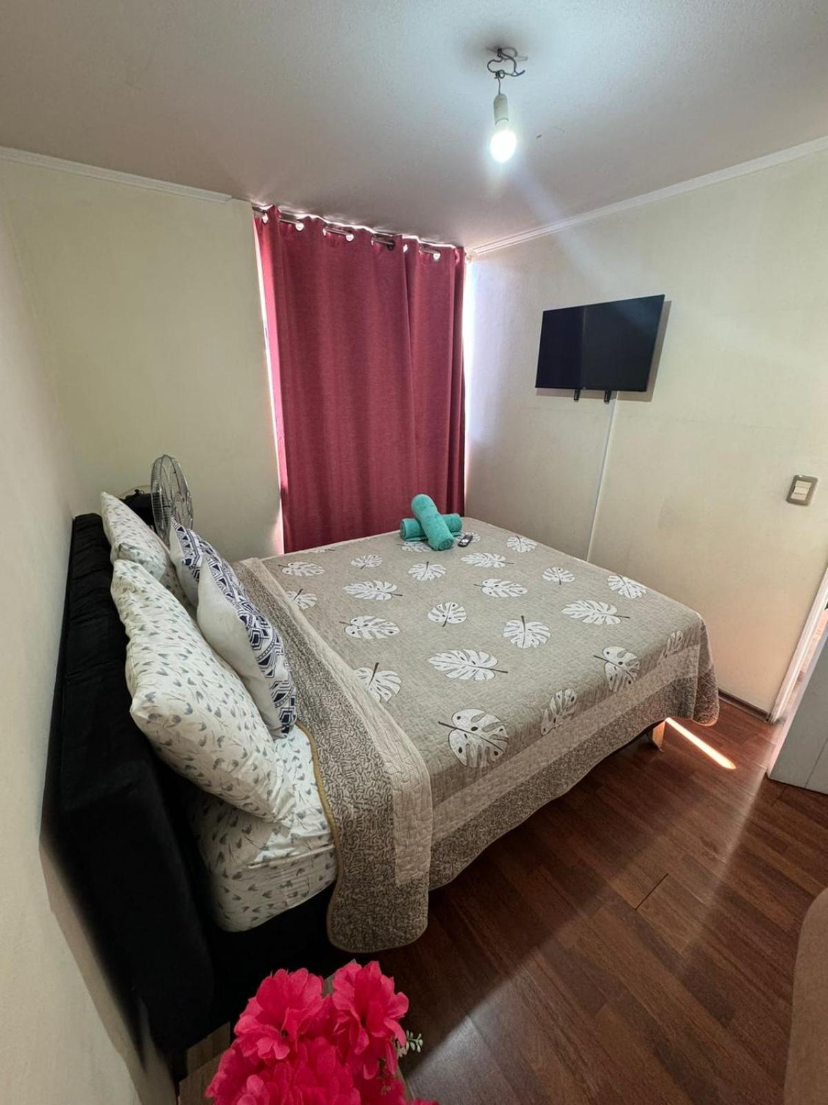 Apartamentos Orquídea Suite