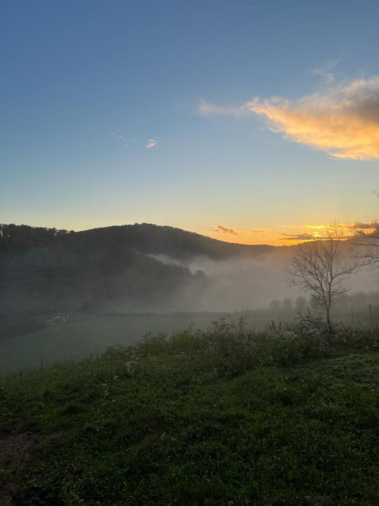 Kuća za odmor Borna view 2