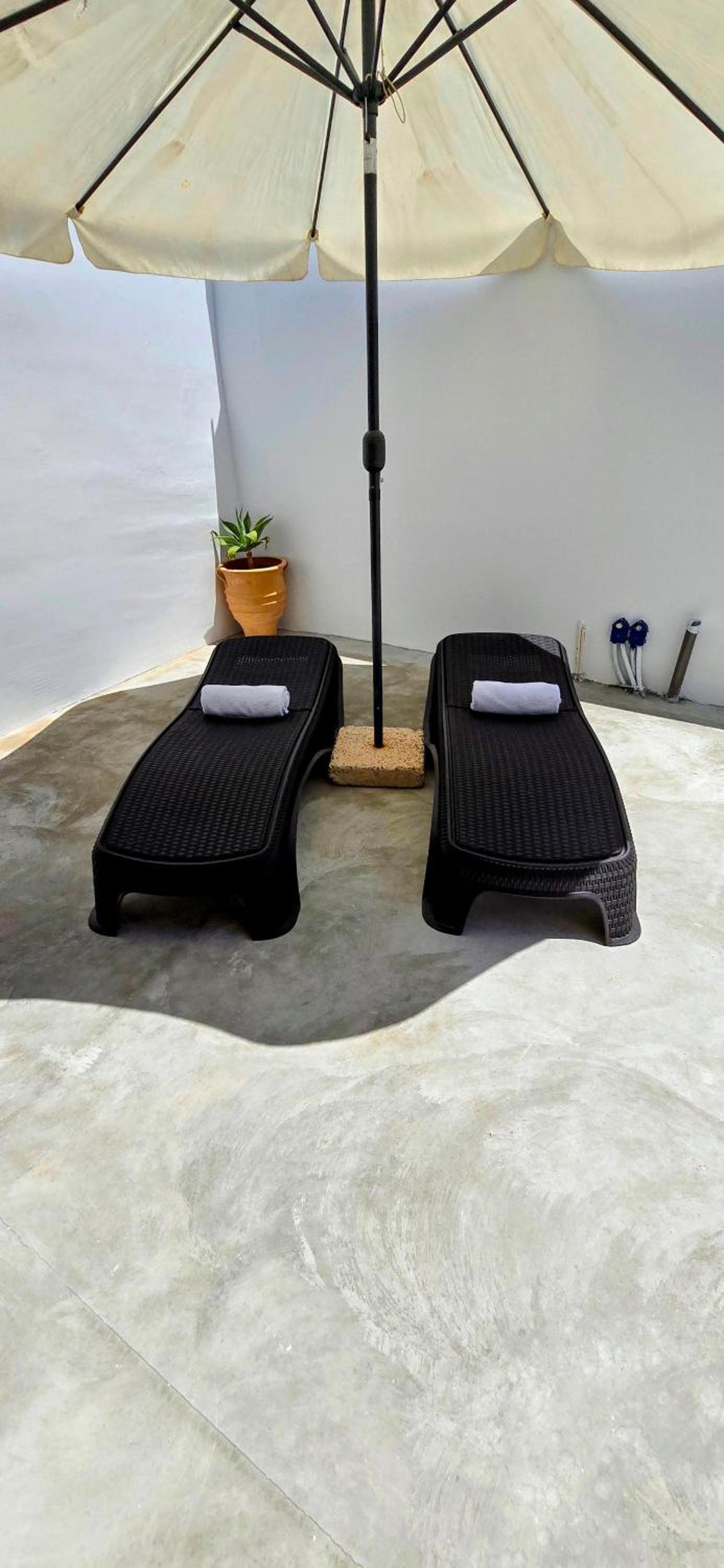 SEVIS SUITES