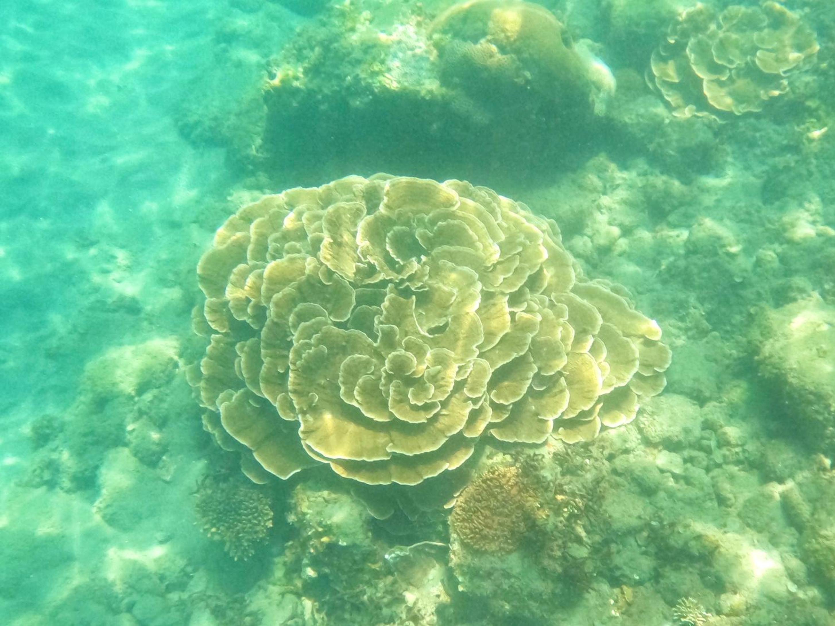 那界灣海景民宿 Dulan Najie Bay B&B
