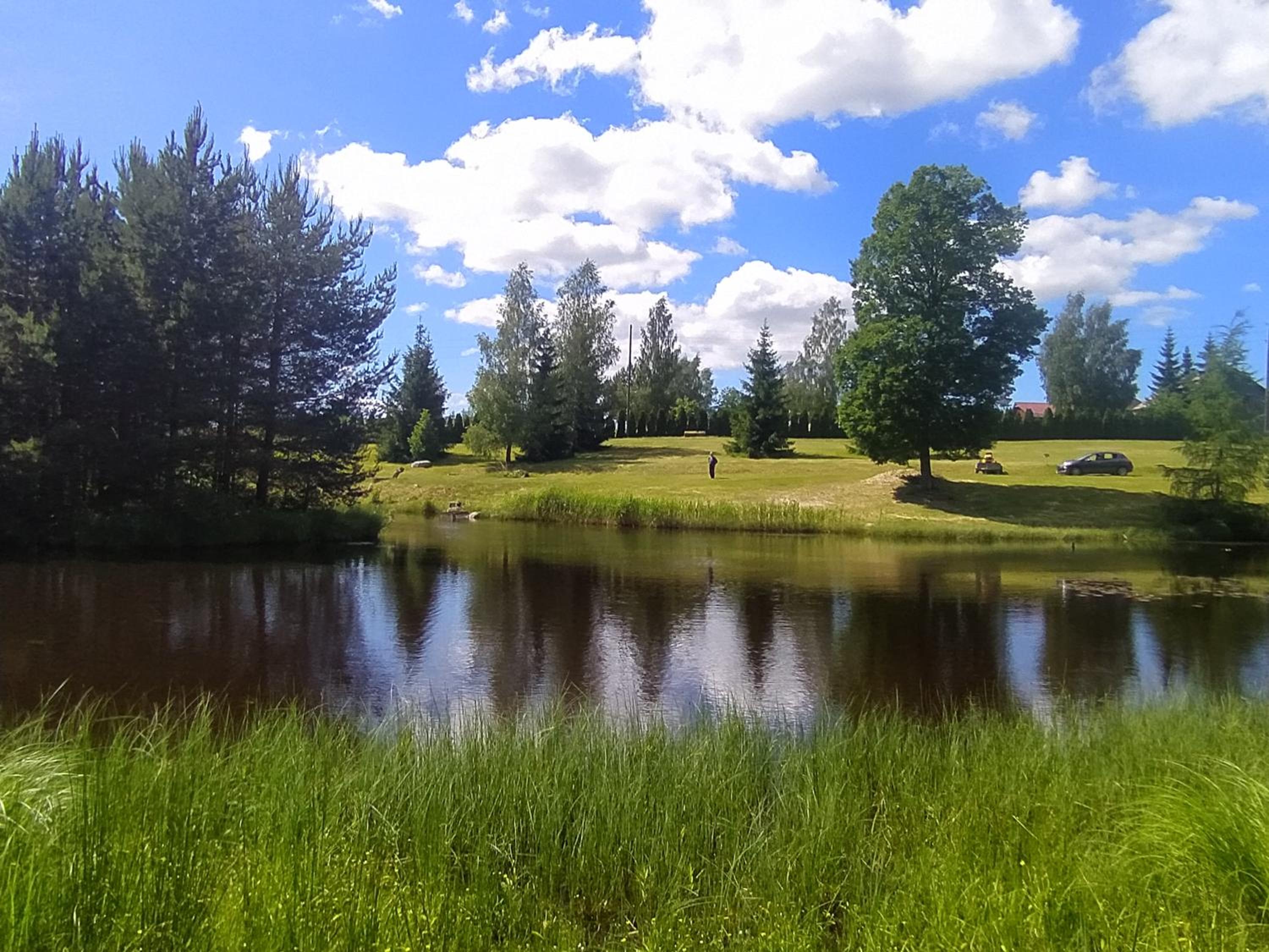 Photo 41