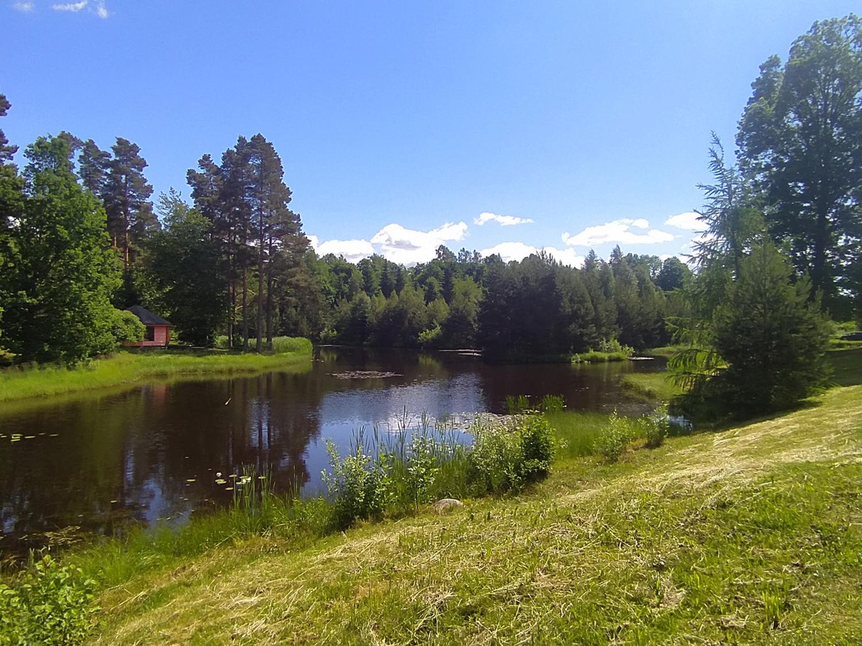 Photo 47