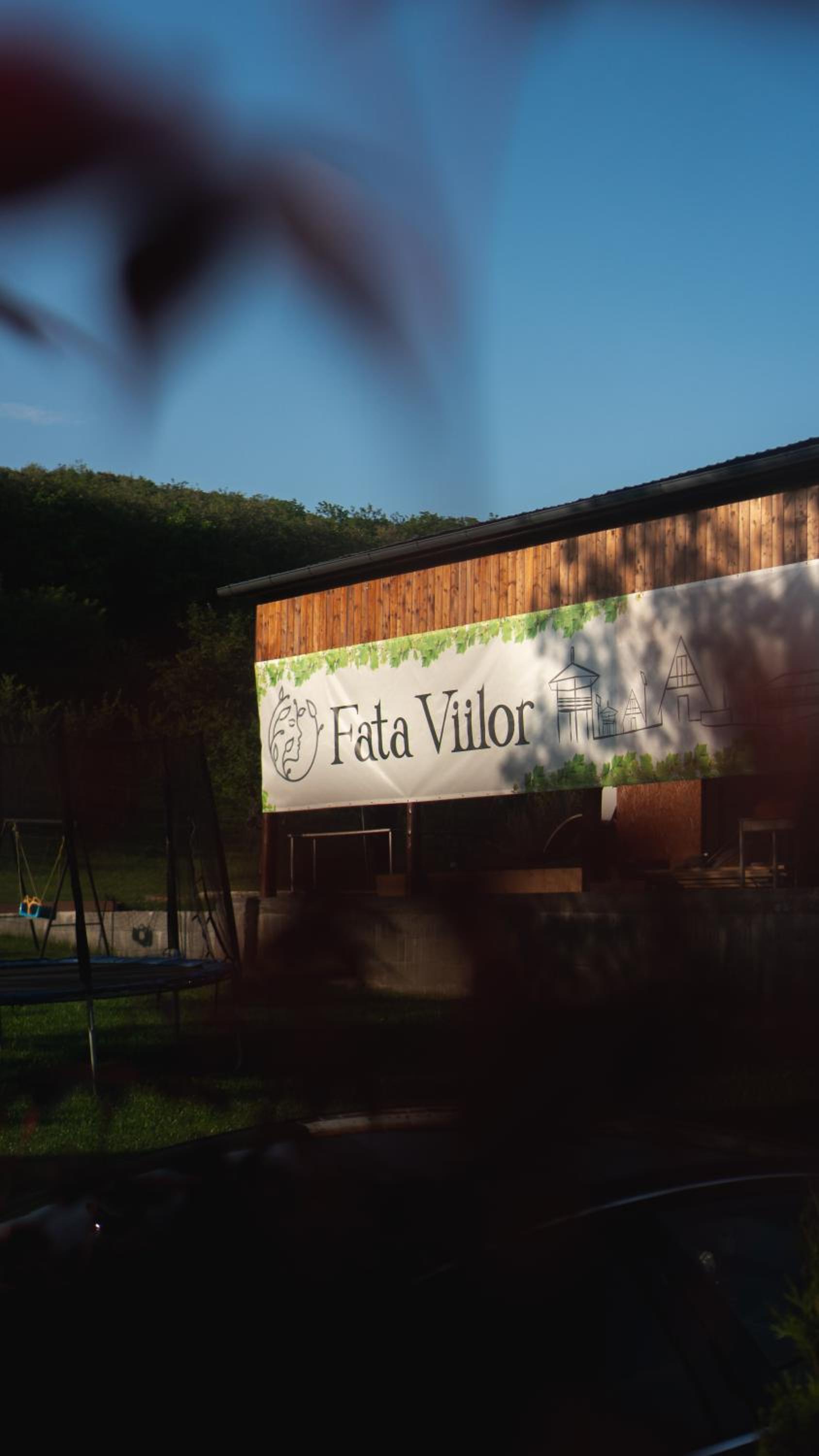 Pensiunea Fata Viilor