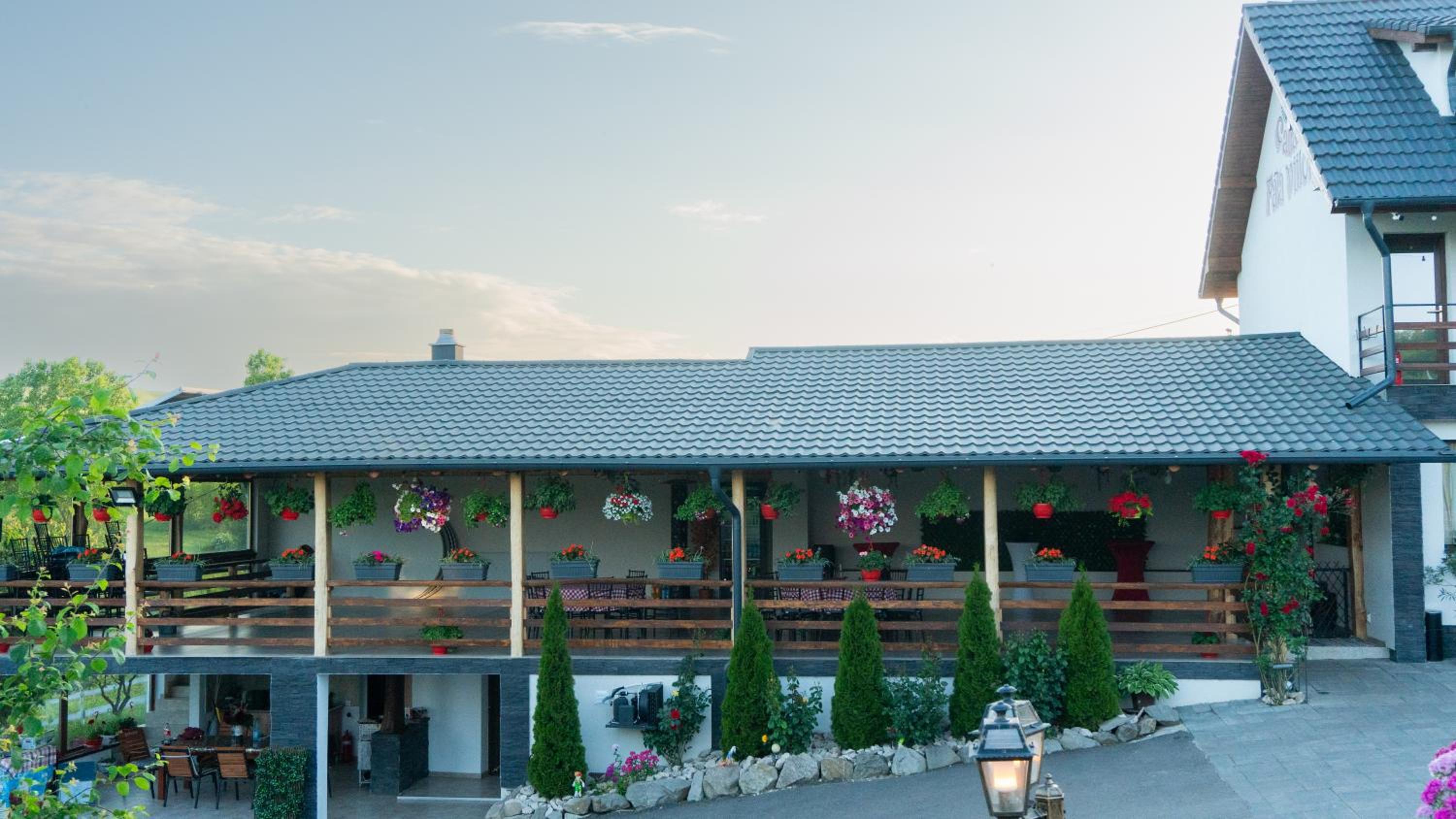Pensiunea Fata Viilor