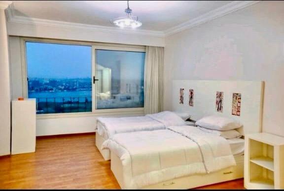 Amazing Duplex With Nile view