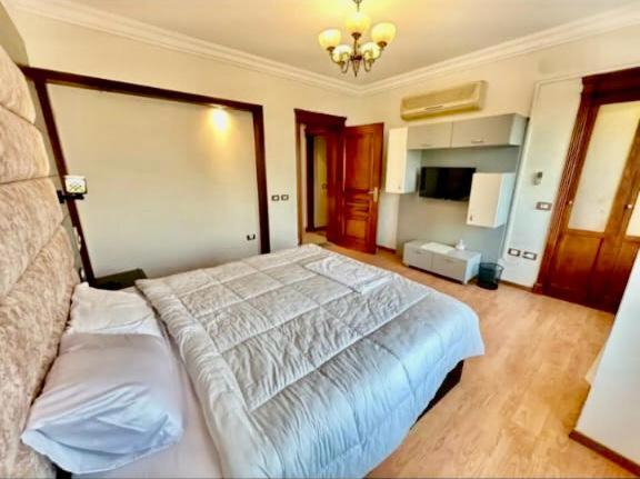 Amazing Duplex With Nile view