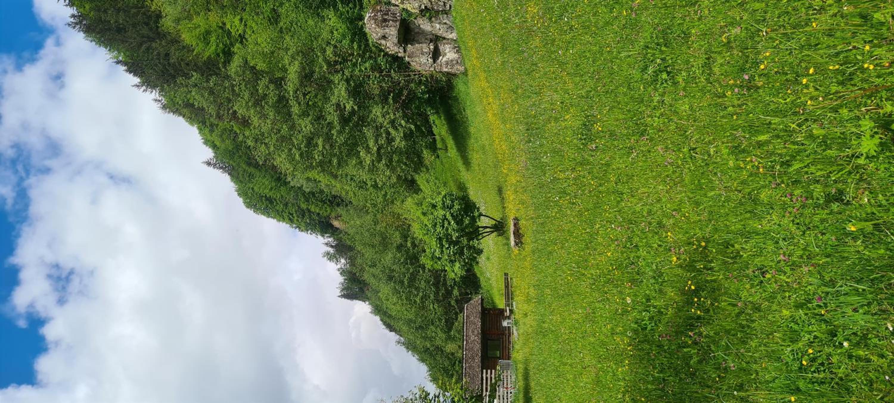 Haus Stehbock