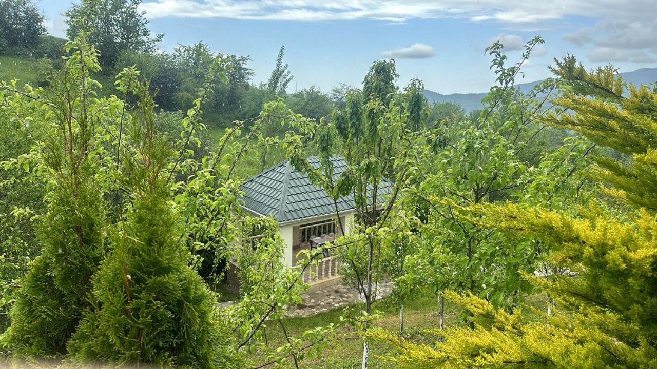 Sadakhli Hotel and Villa