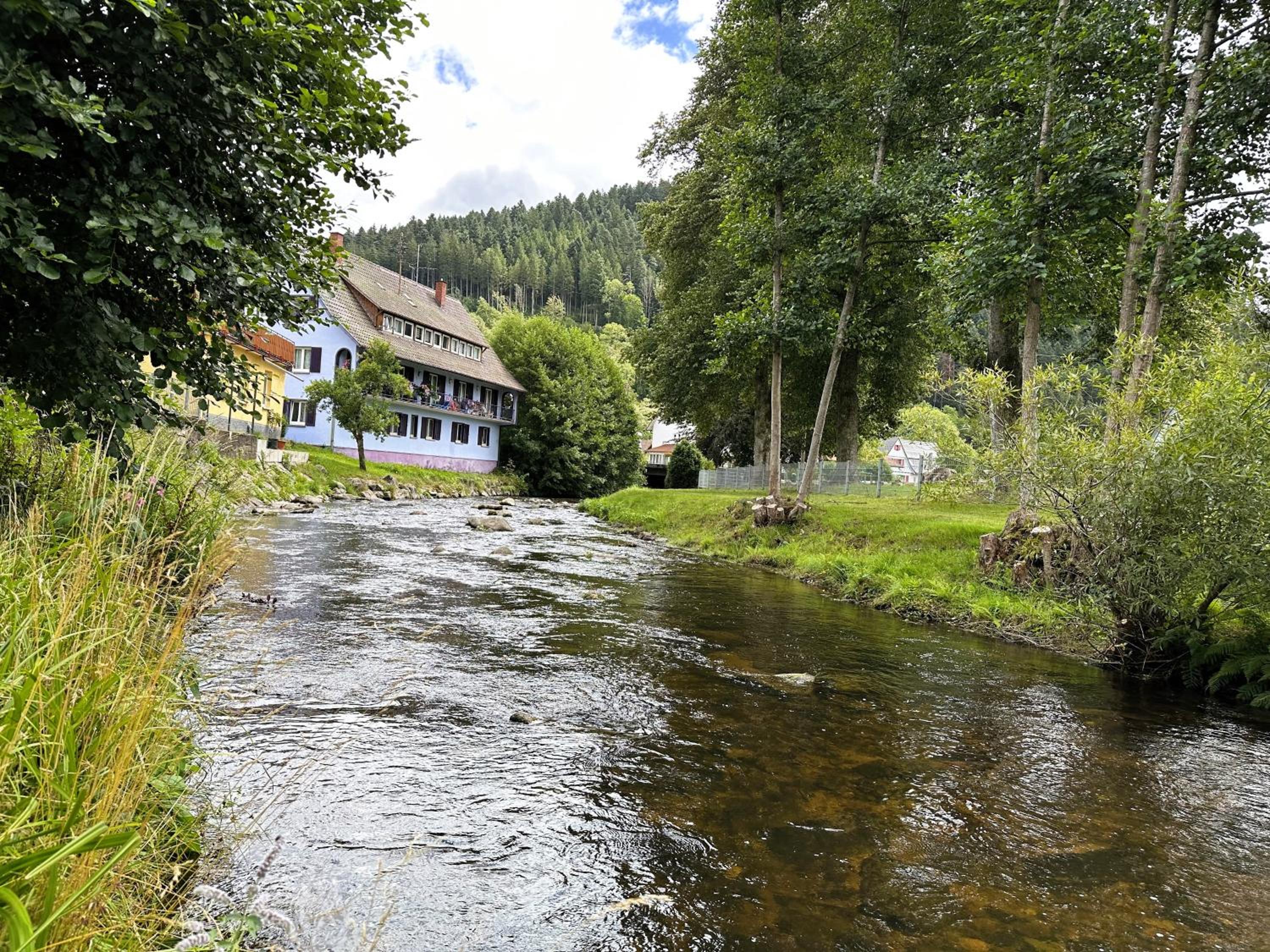 Ferienwohnung Kinzig-Chalet - Balkon - Für Kinder - mit Bettwäsche & Handtücher