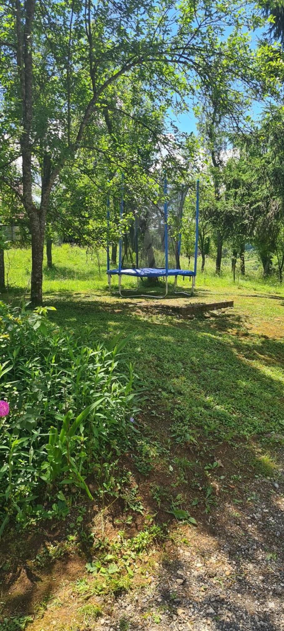 Apartman Milka
