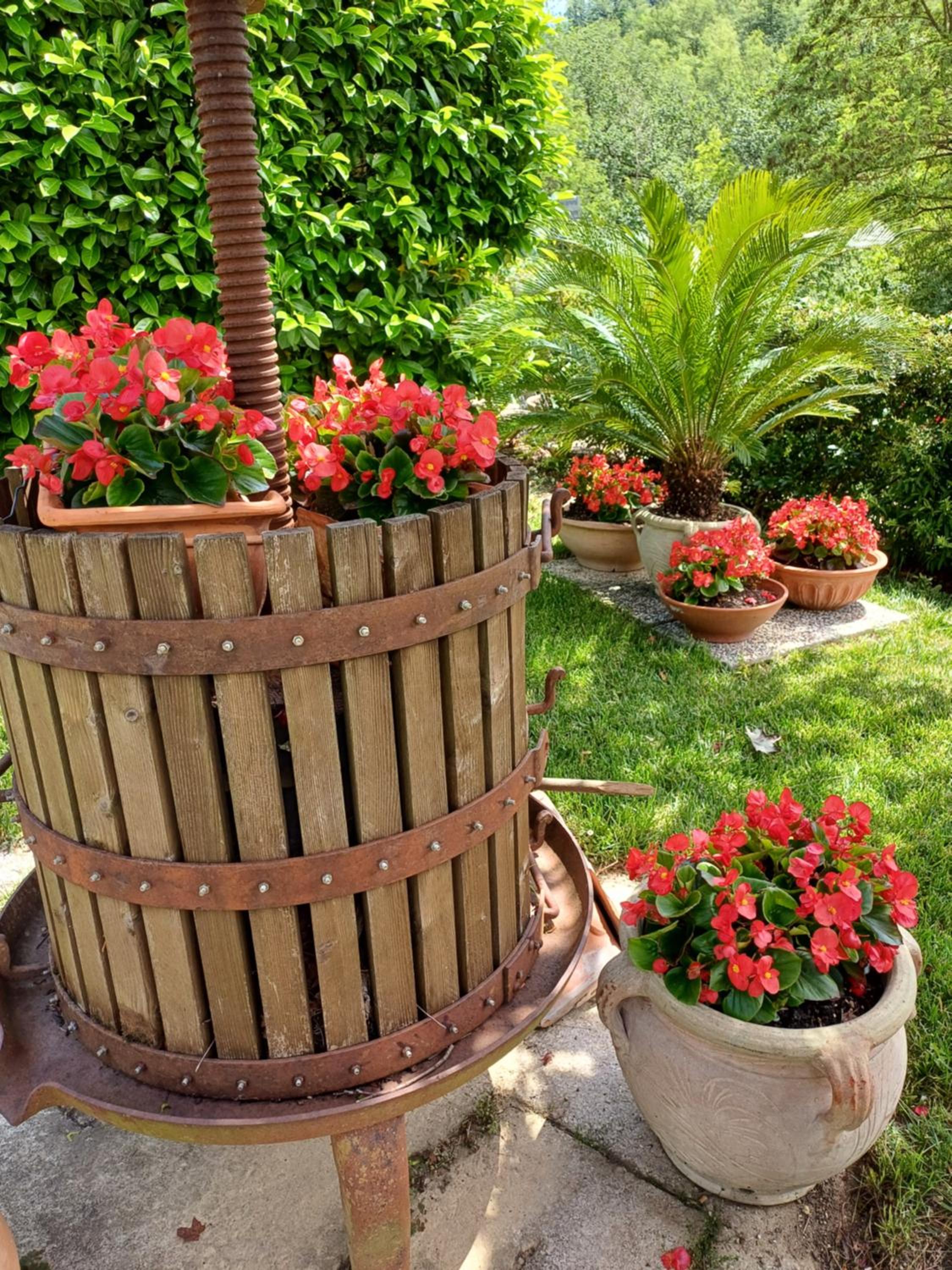 Agriturismo San GIovanni Ad Insulam