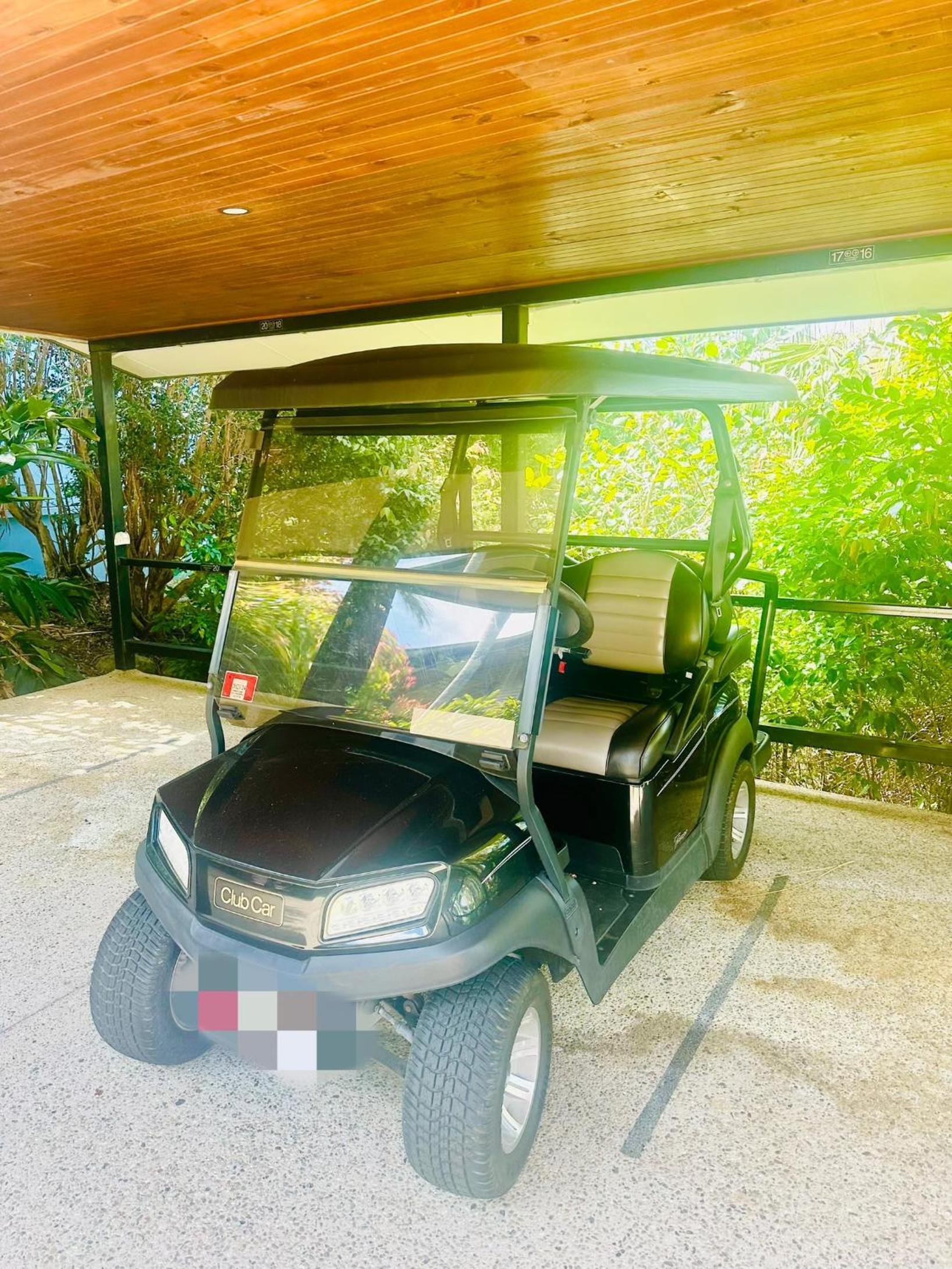 Ocean View Island 2-bedroom Townhouse Buggy Valet service extra Queen air bed