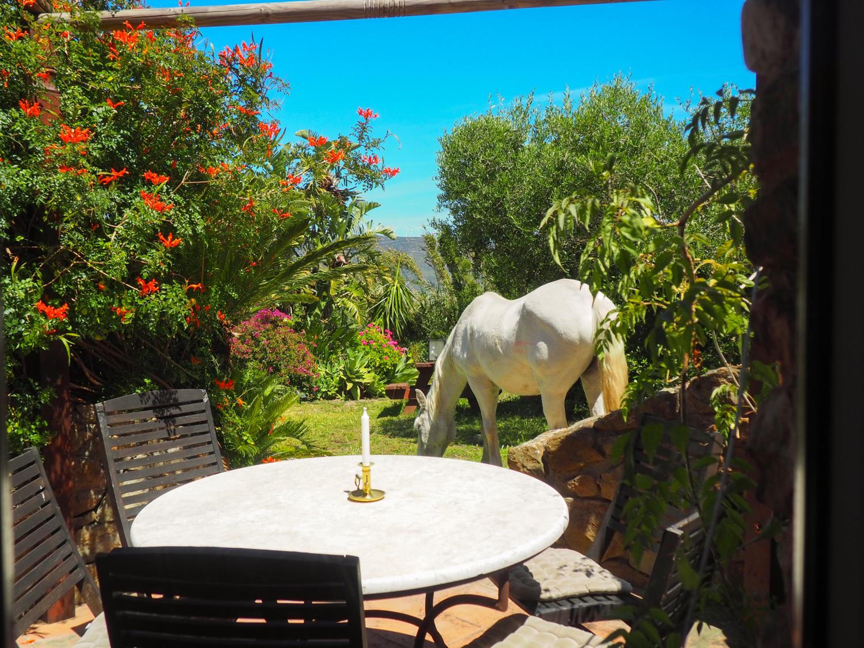 Tarifa Apartement Horses and Nature