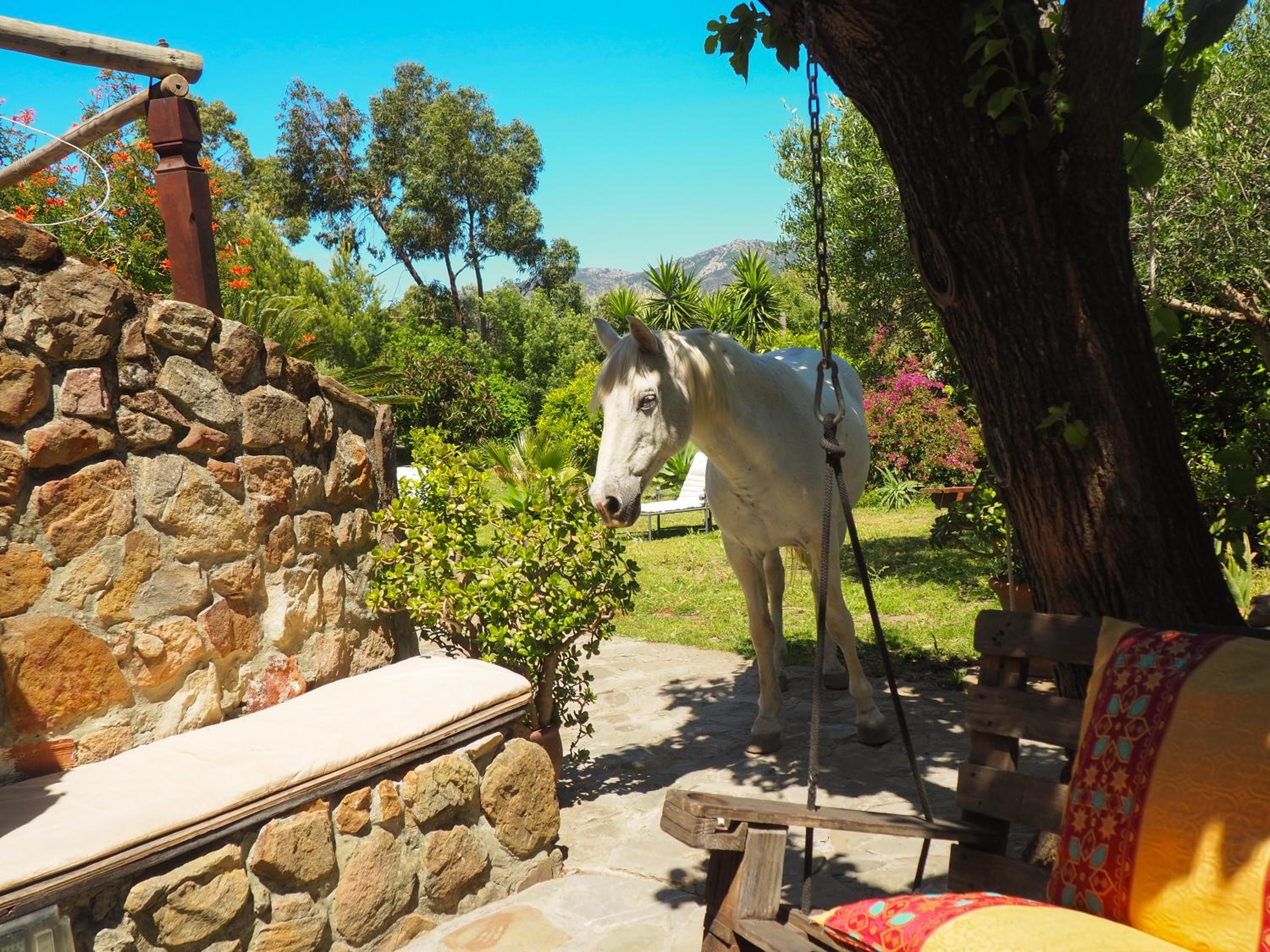 Tarifa Apartement Horses and Nature