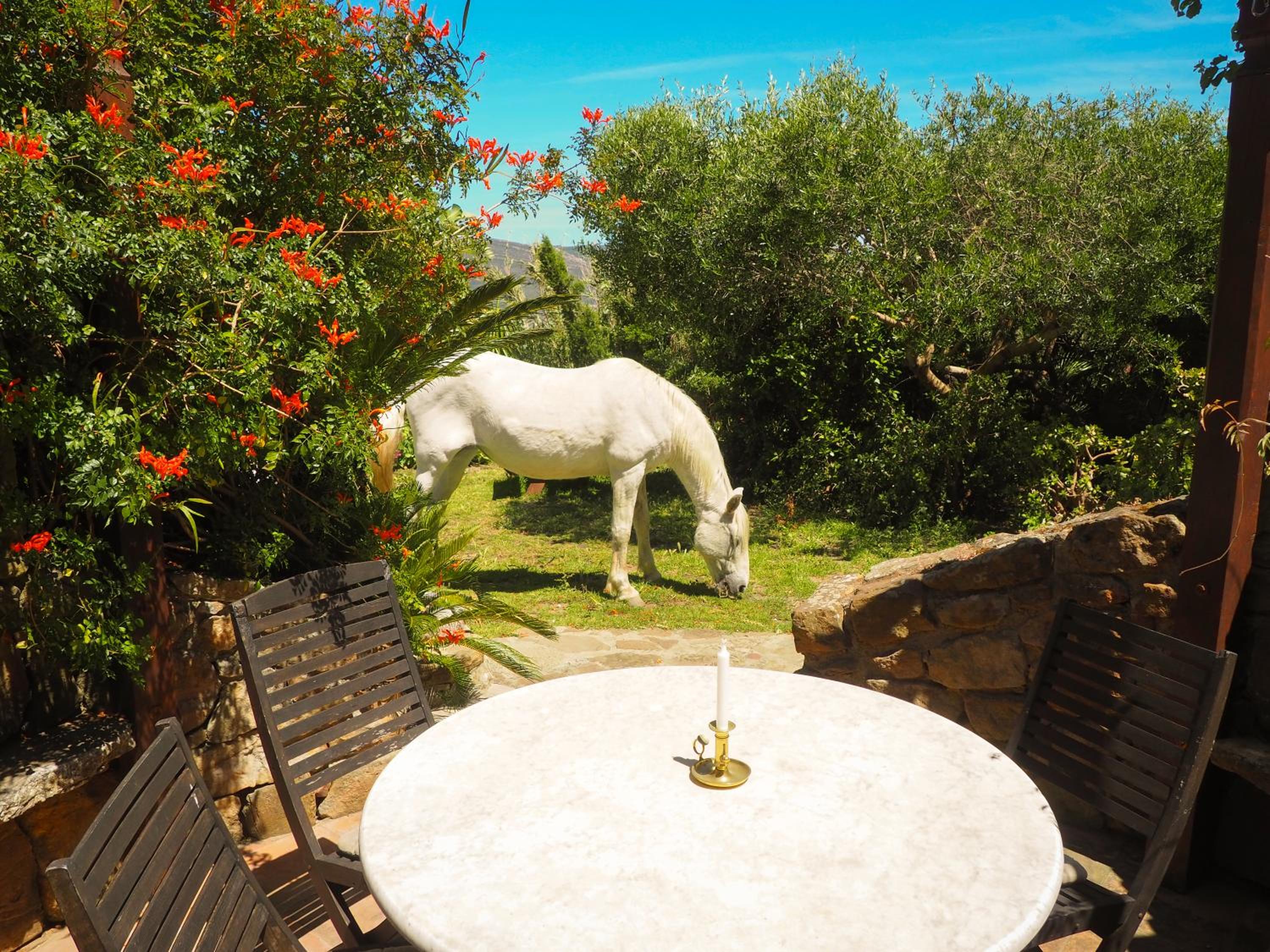 Tarifa Apartement Horses and Nature