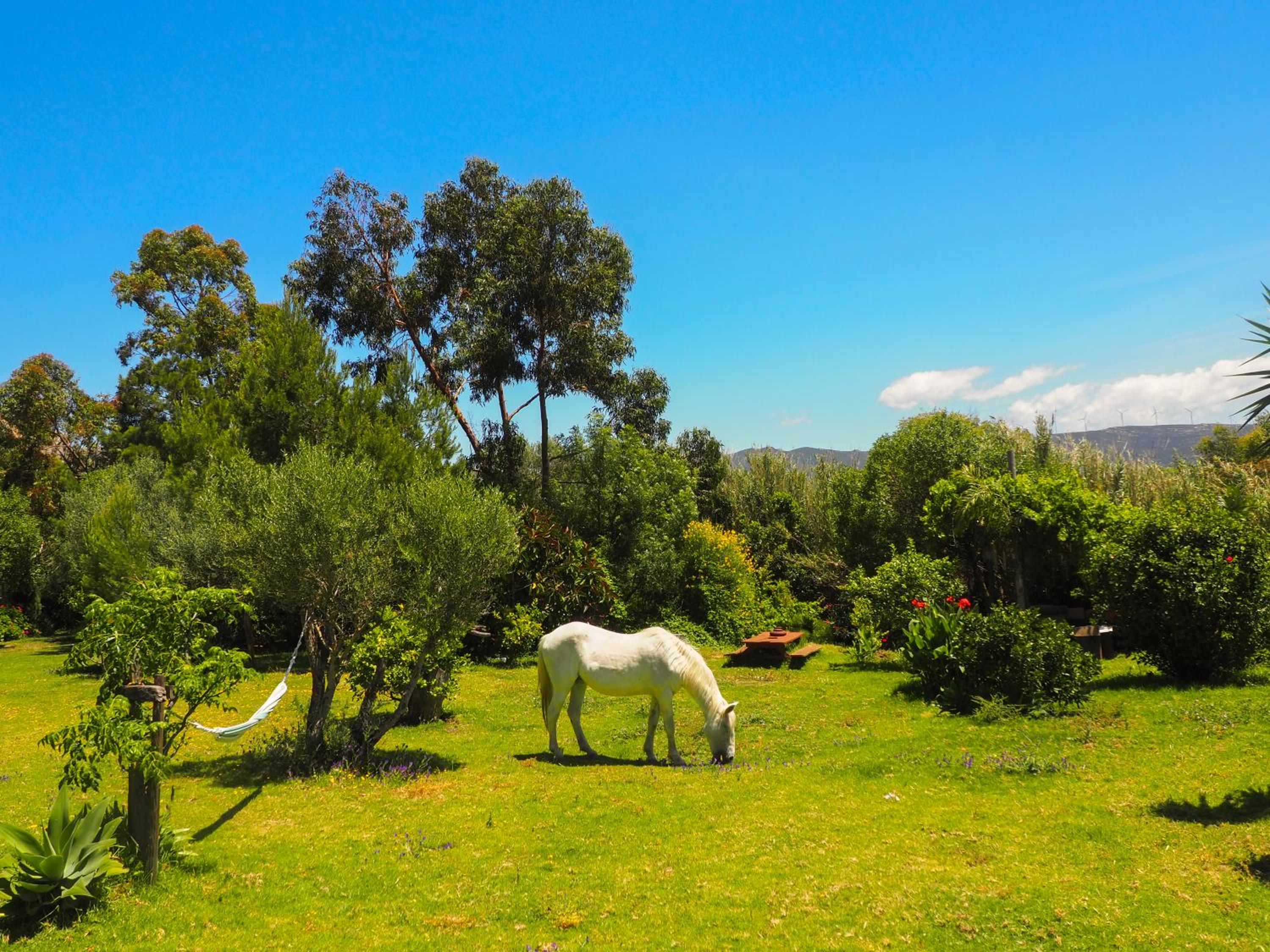 Tarifa Apartement Horses and Nature