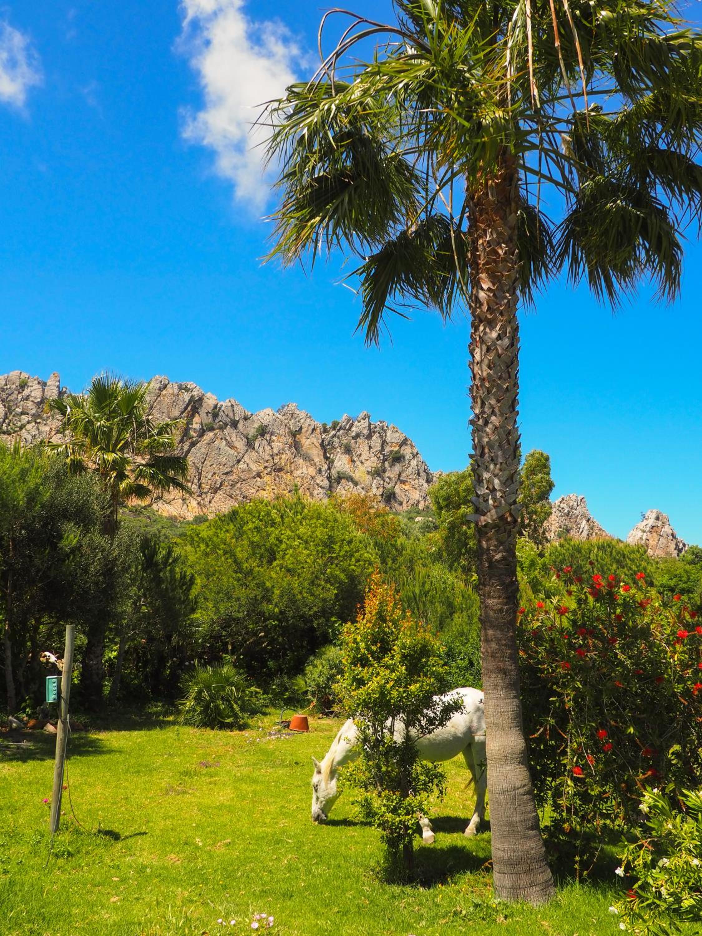 Tarifa Apartement Horses and Nature