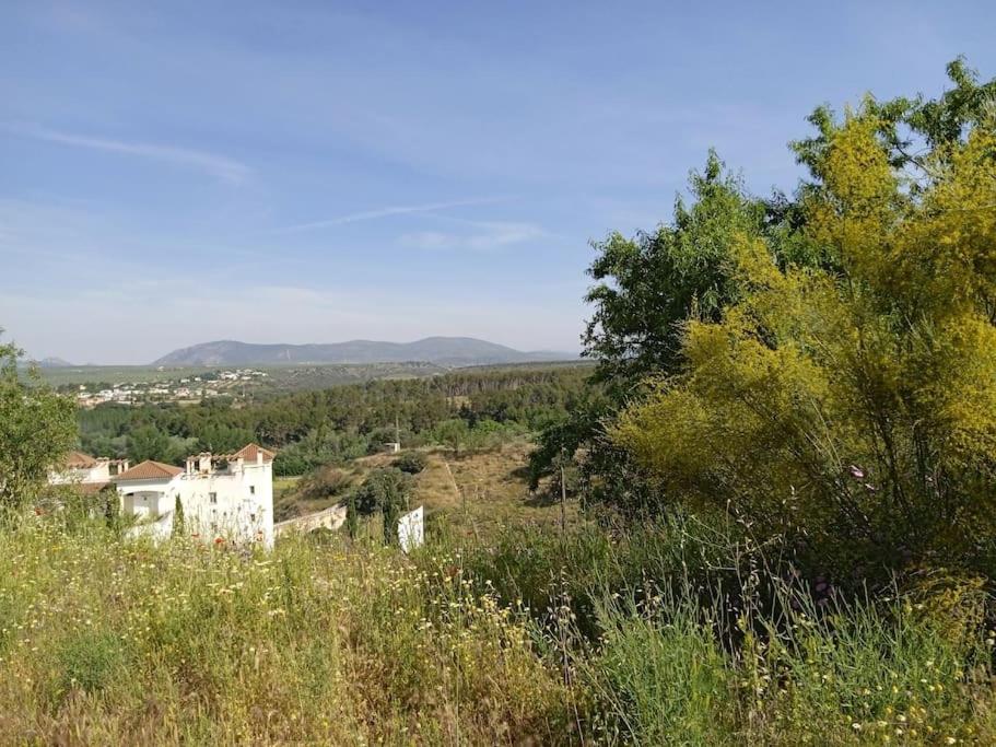 Granada pantano del Cubillas