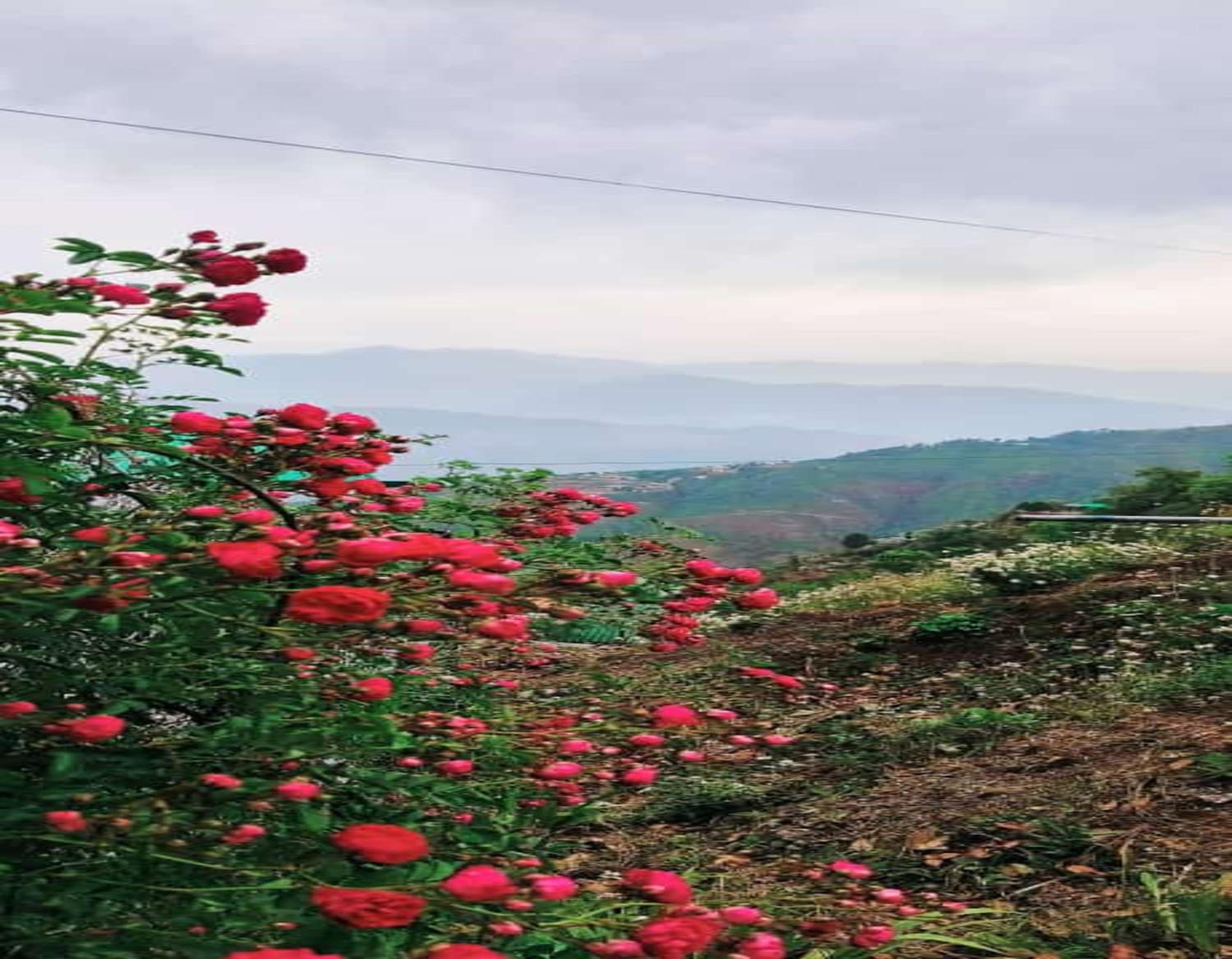KASANA CLUB MUSSOORIE