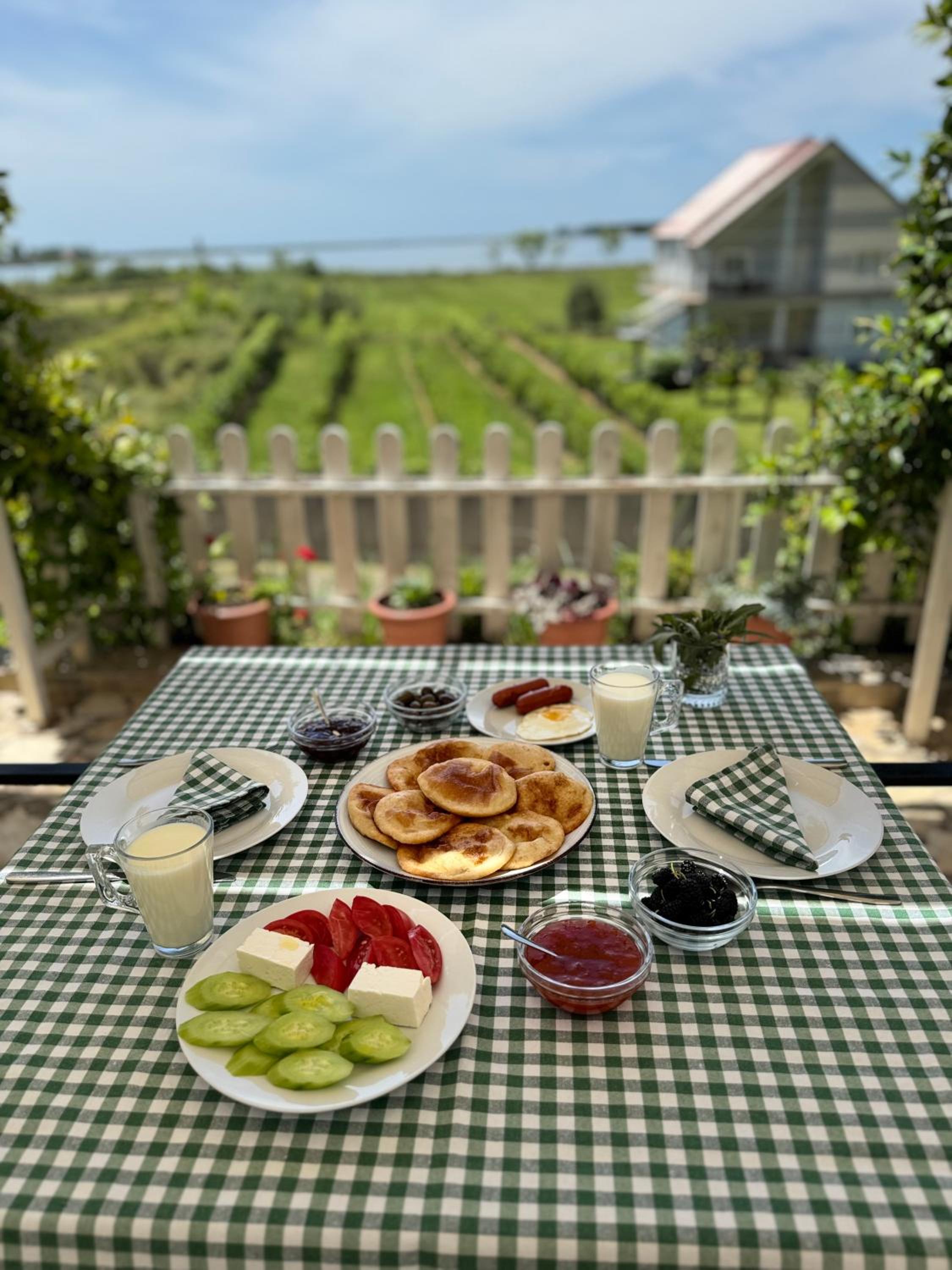 Vila Horizont Guest House