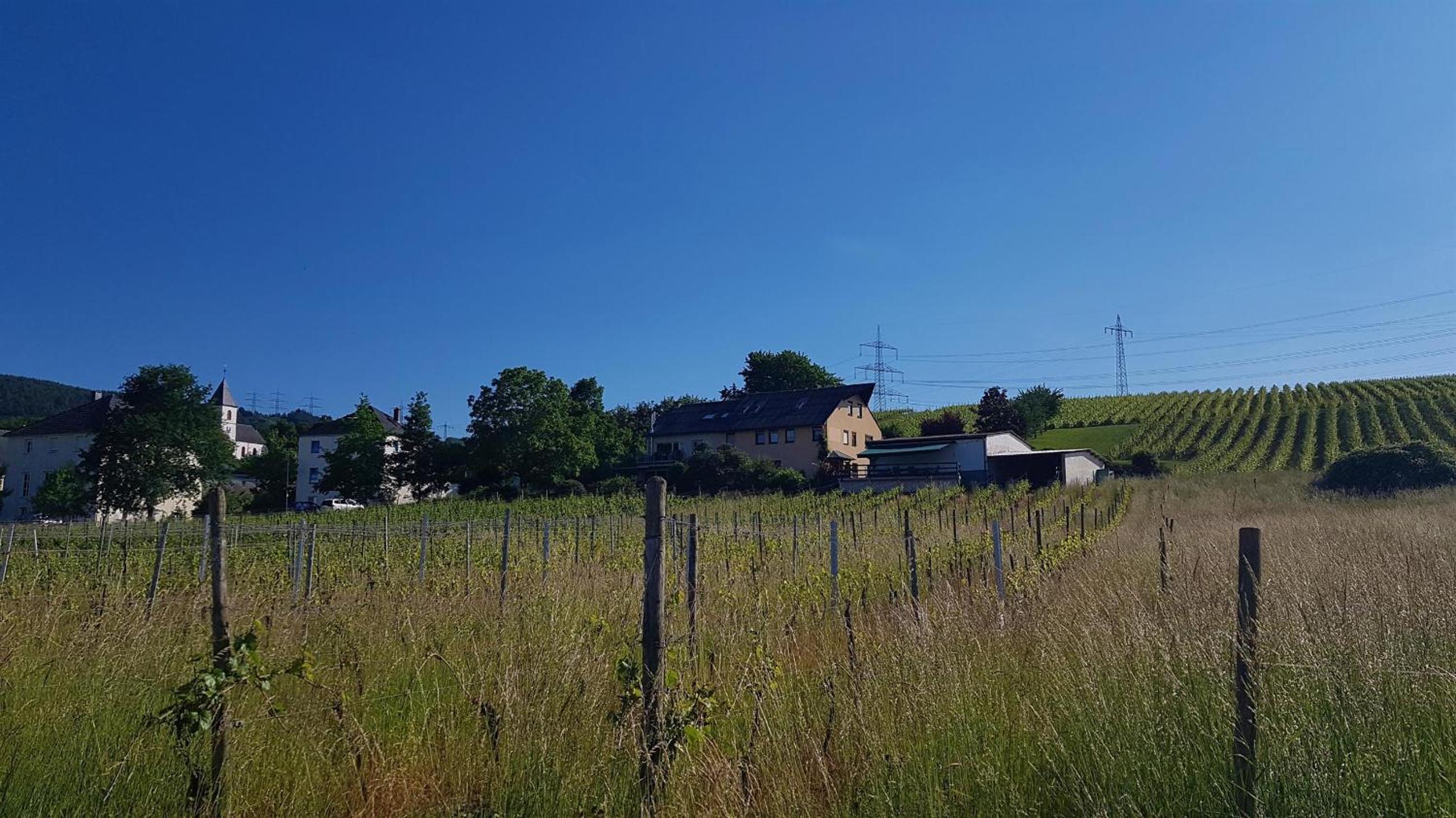Ferienwohnung 