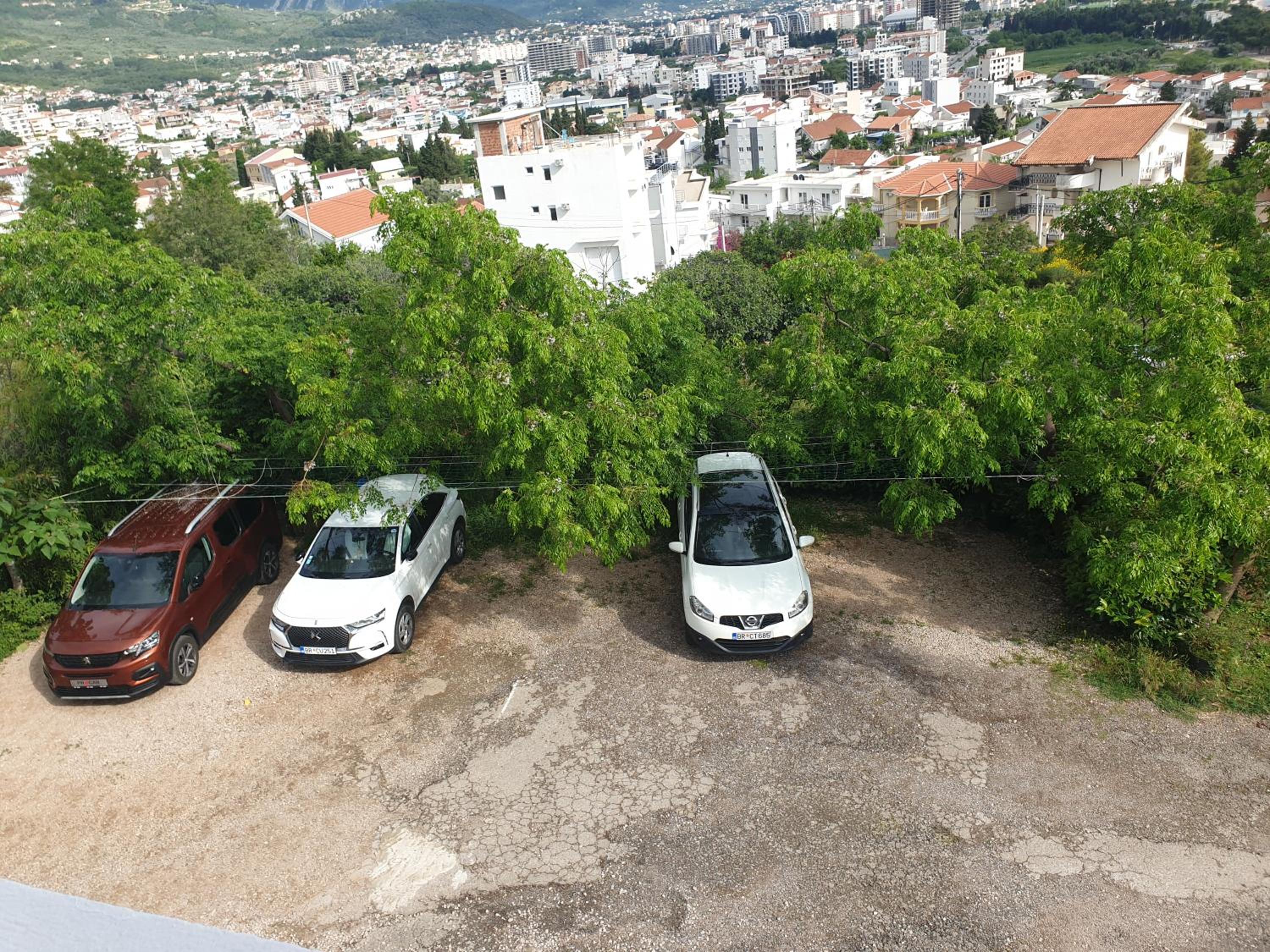 Montenegrinbeautystar
