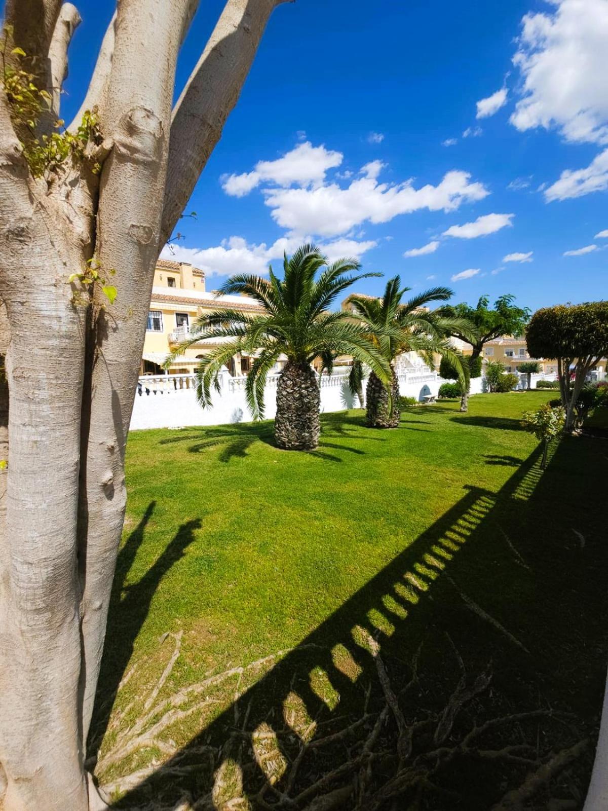 Apartment in Gran Alacant