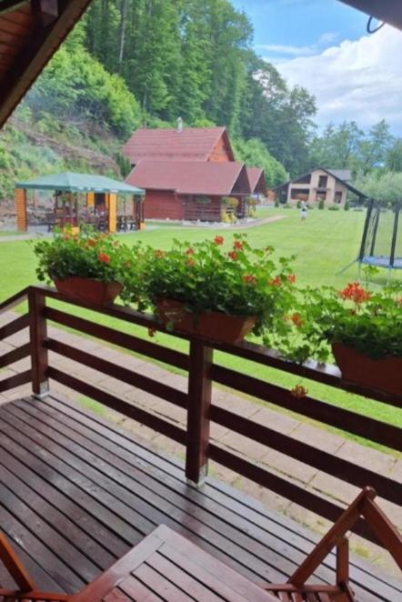 Case de vacanță Gabriel view 5