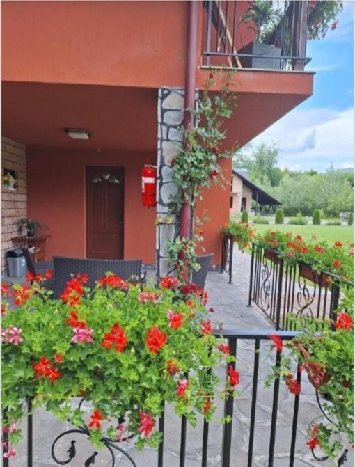 Case de vacanță Gabriel view 4