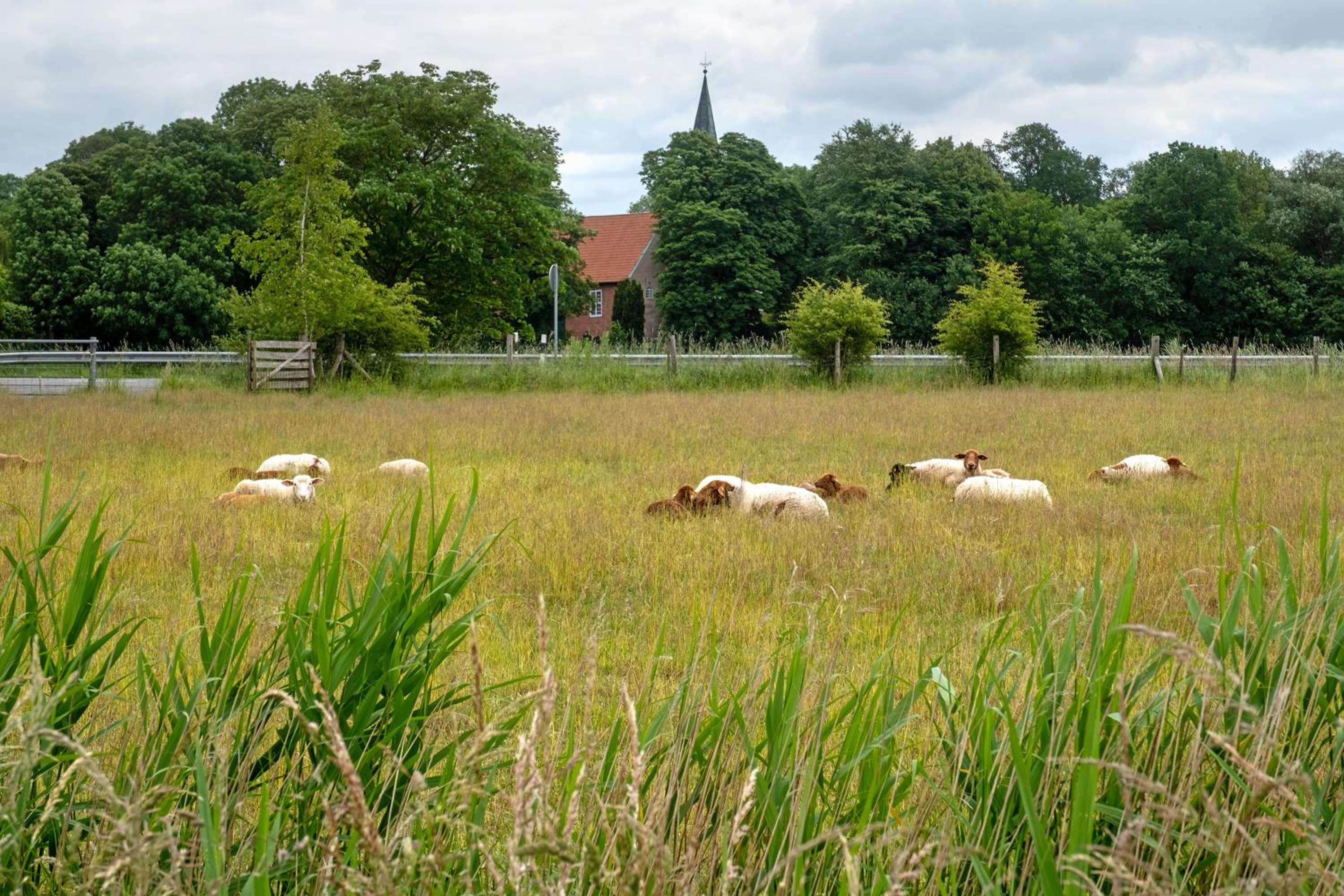 Ferienwohnung Jadebusen