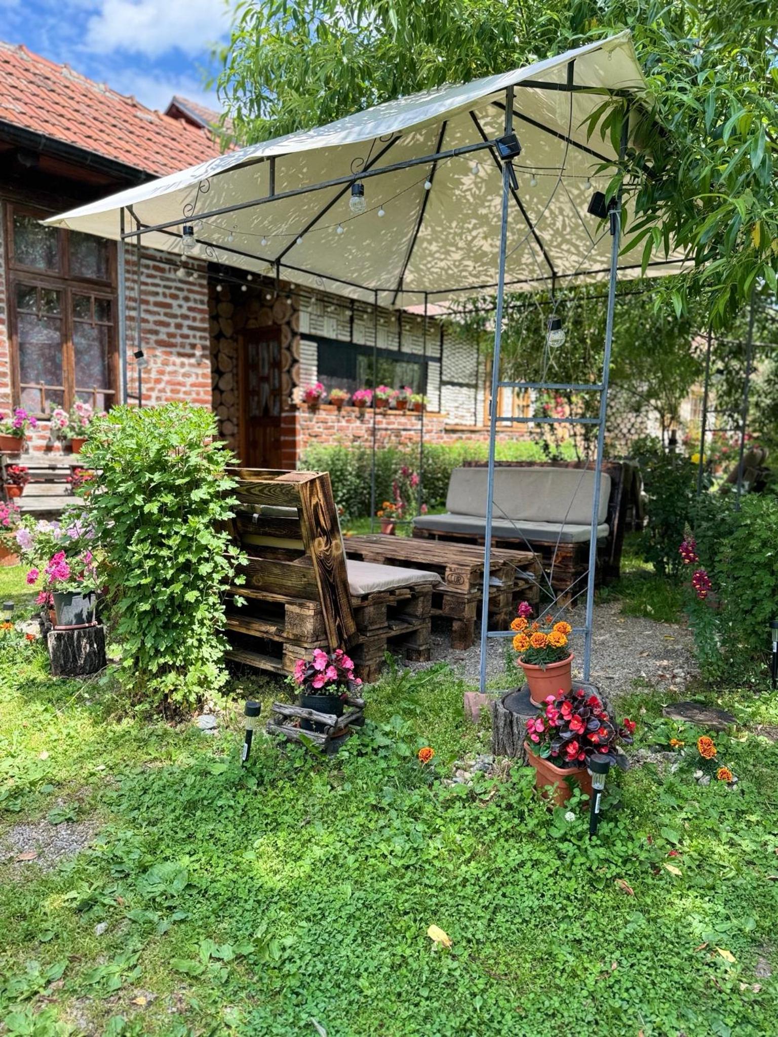 Photo 15