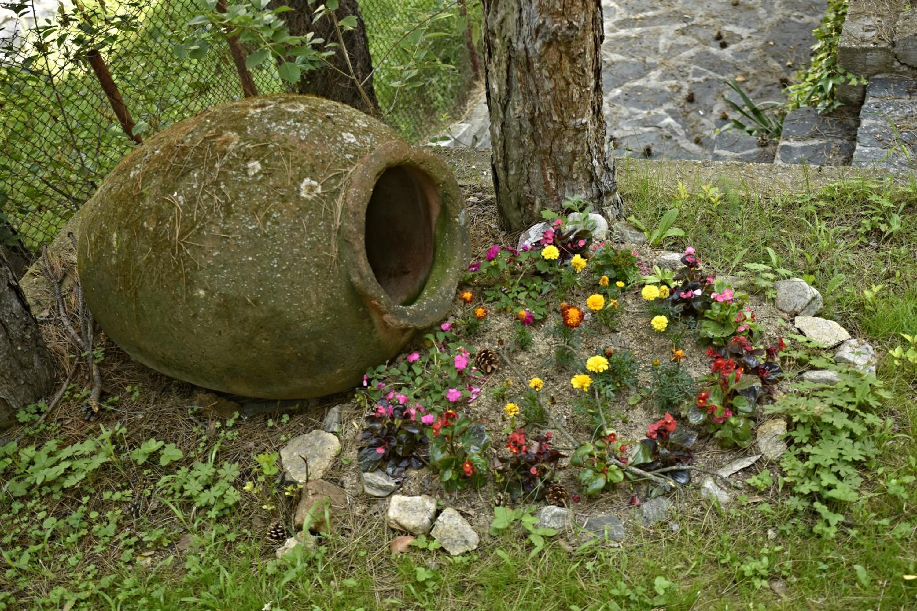 Photo 44