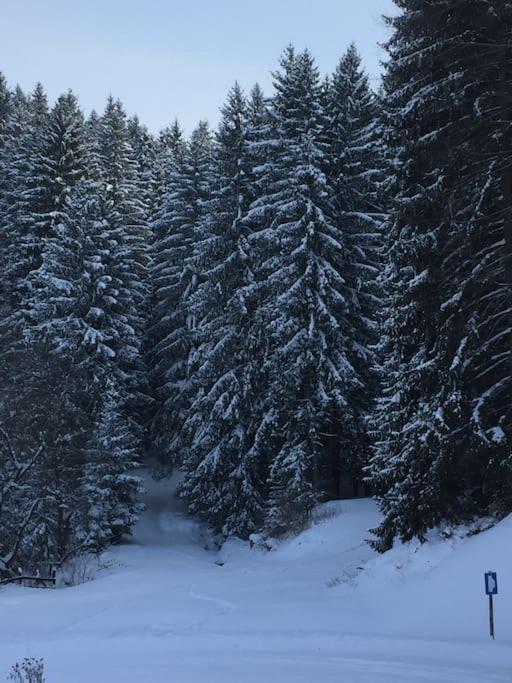 Challet Renatte Bran your home away from home